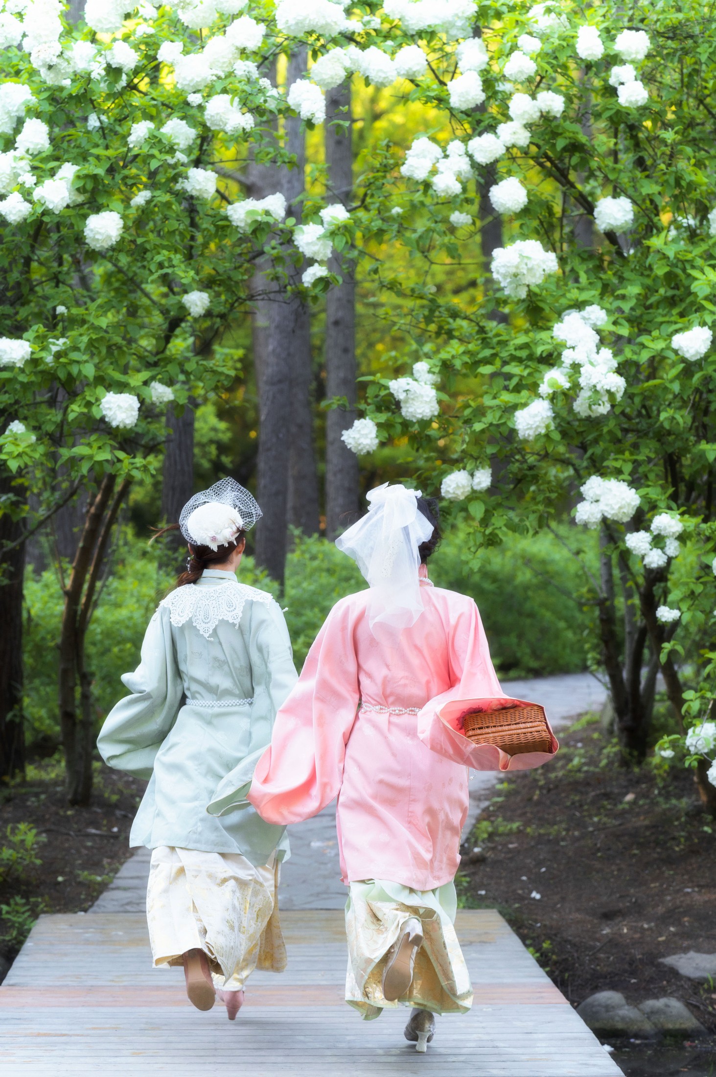 贰加六 兔子Zzz不吃胡萝卜 – 《踏春》[33P] 插图4