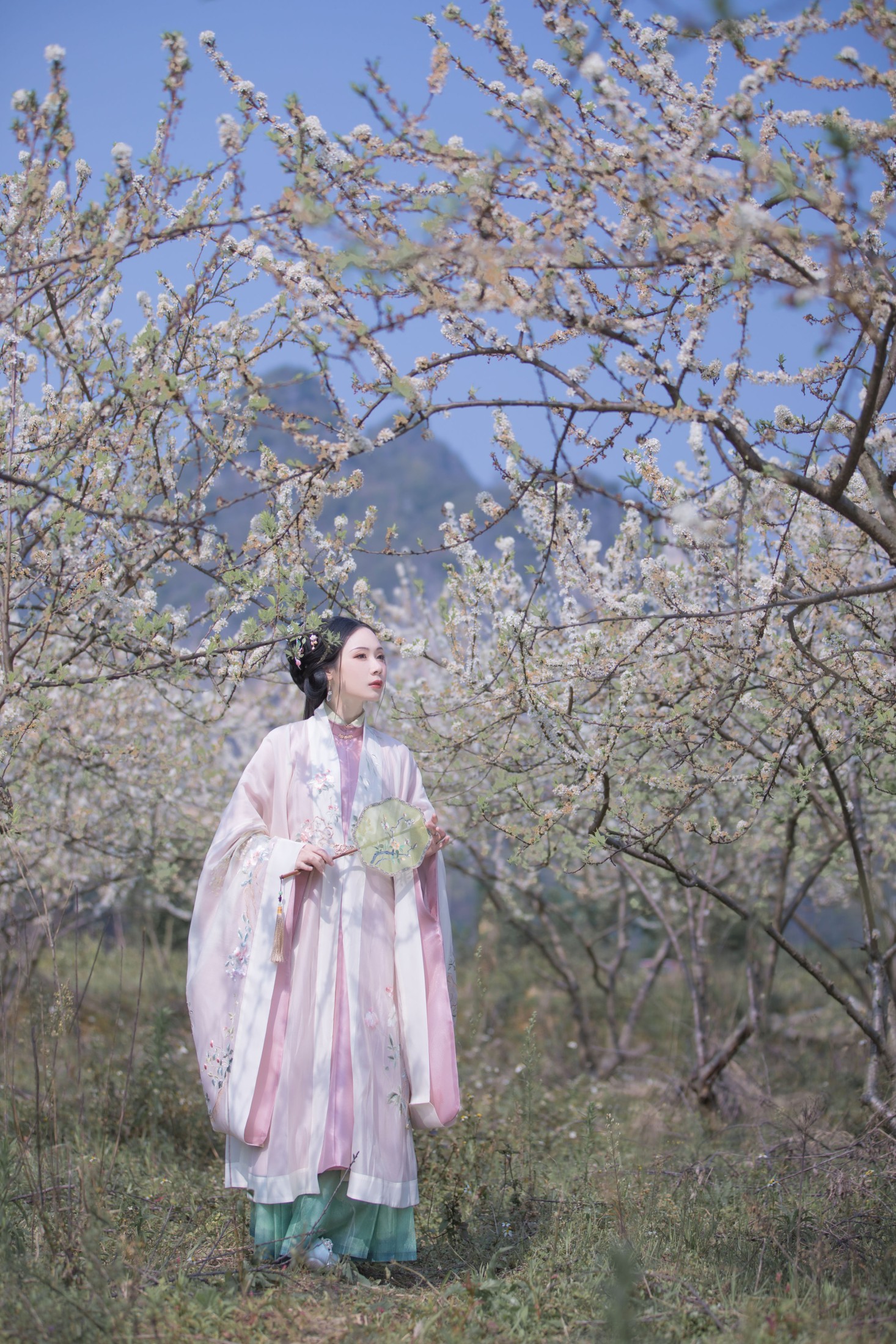 疏影 – 《疏影》[23P] 插图3