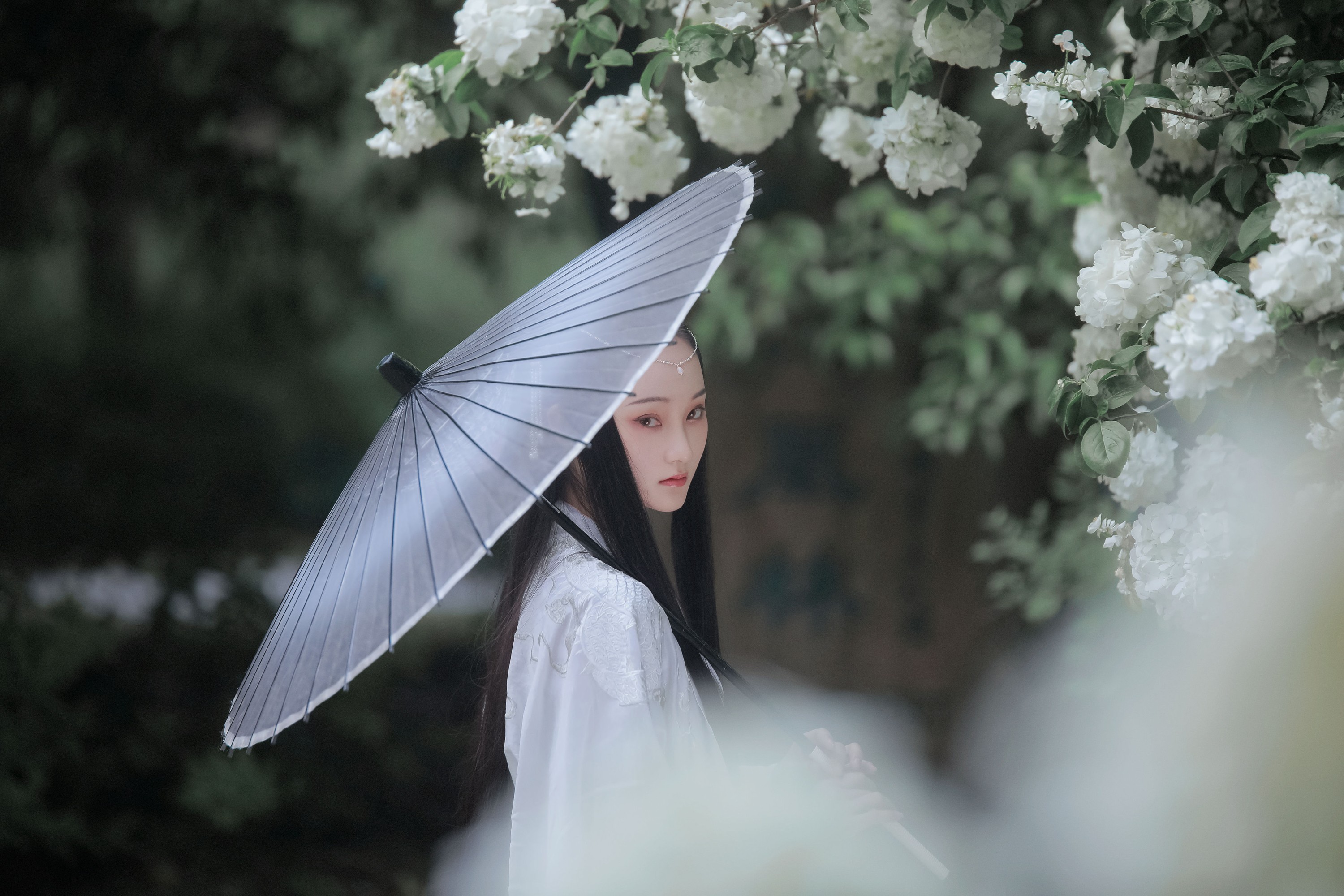 云之是小狐狸吖 – 《琼花并貌》[22P] 插图5