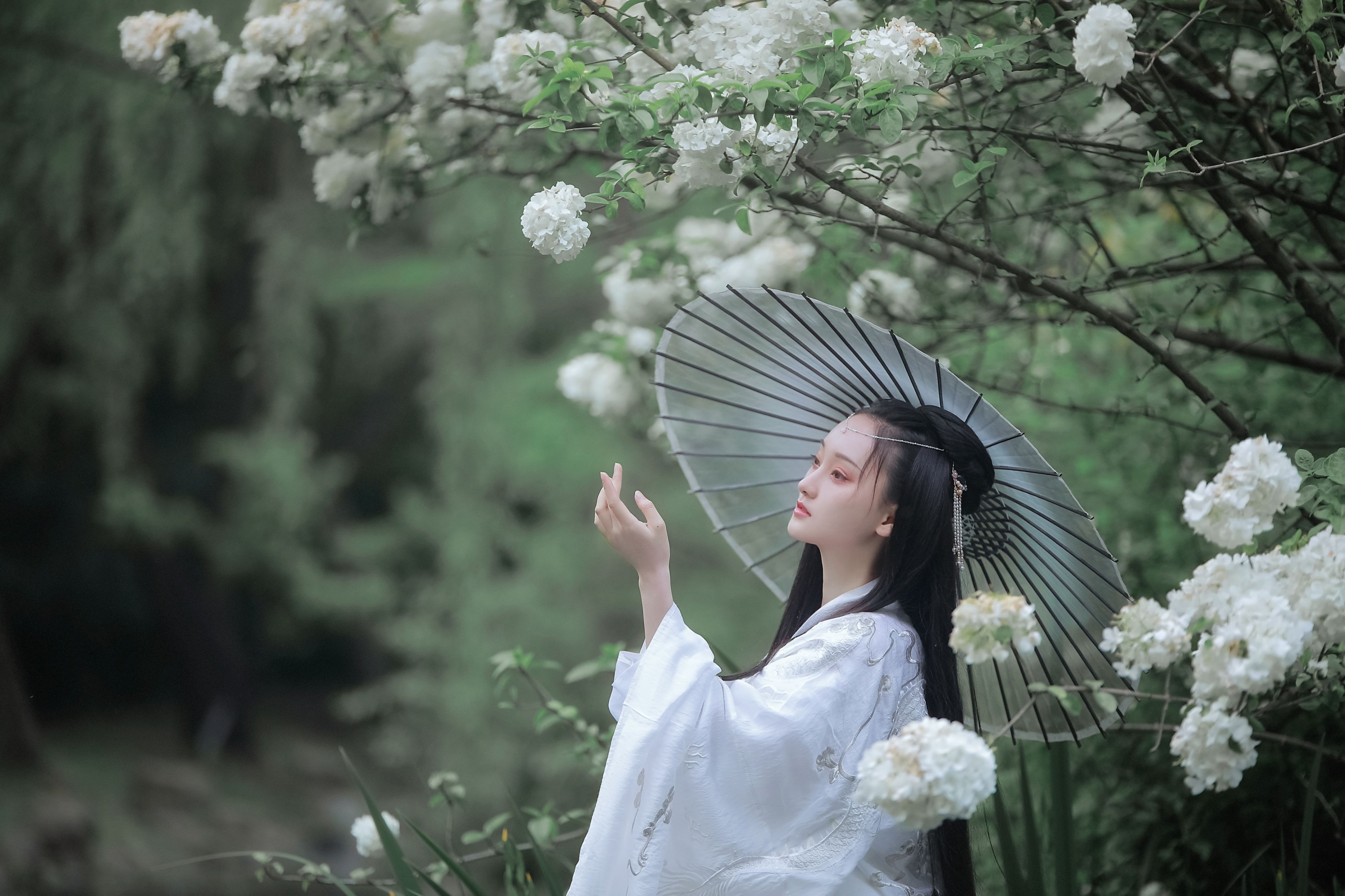 云之是小狐狸吖 – 《琼花并貌》[22P] 插图4