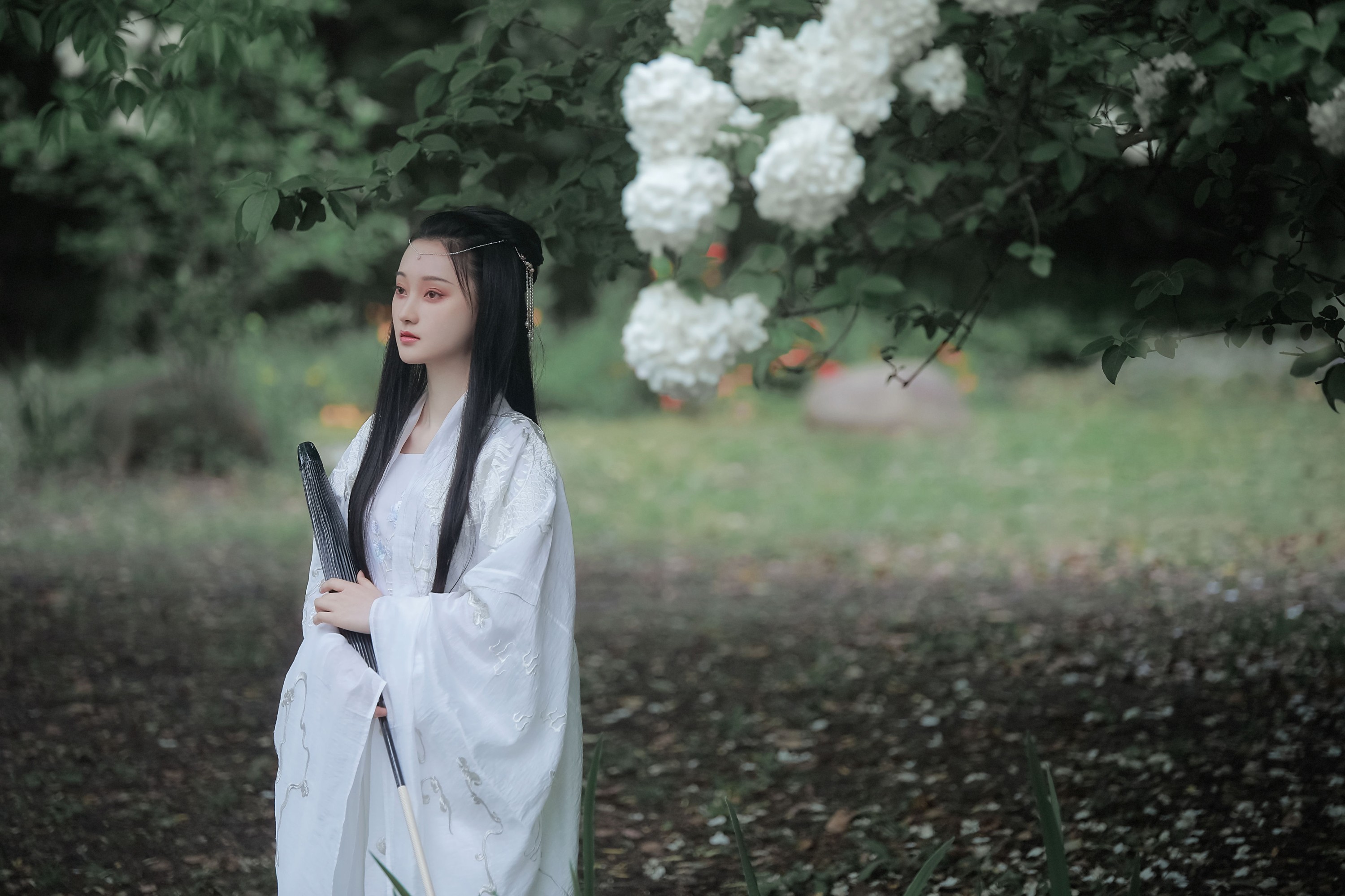 云之是小狐狸吖 – 《琼花并貌》[22P] 插图3