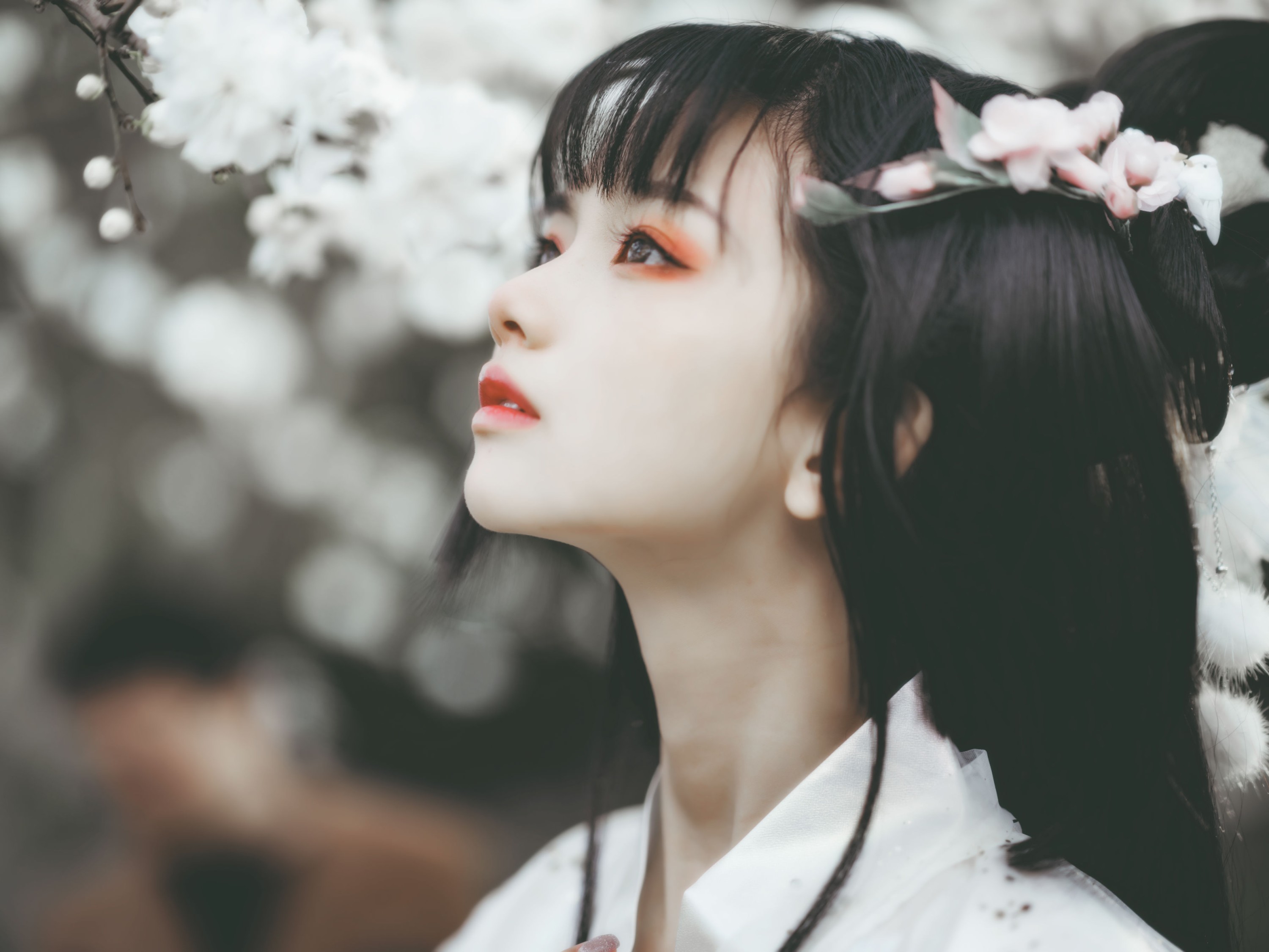 猫梓子 – 《广寒宫》[23P] 插图4