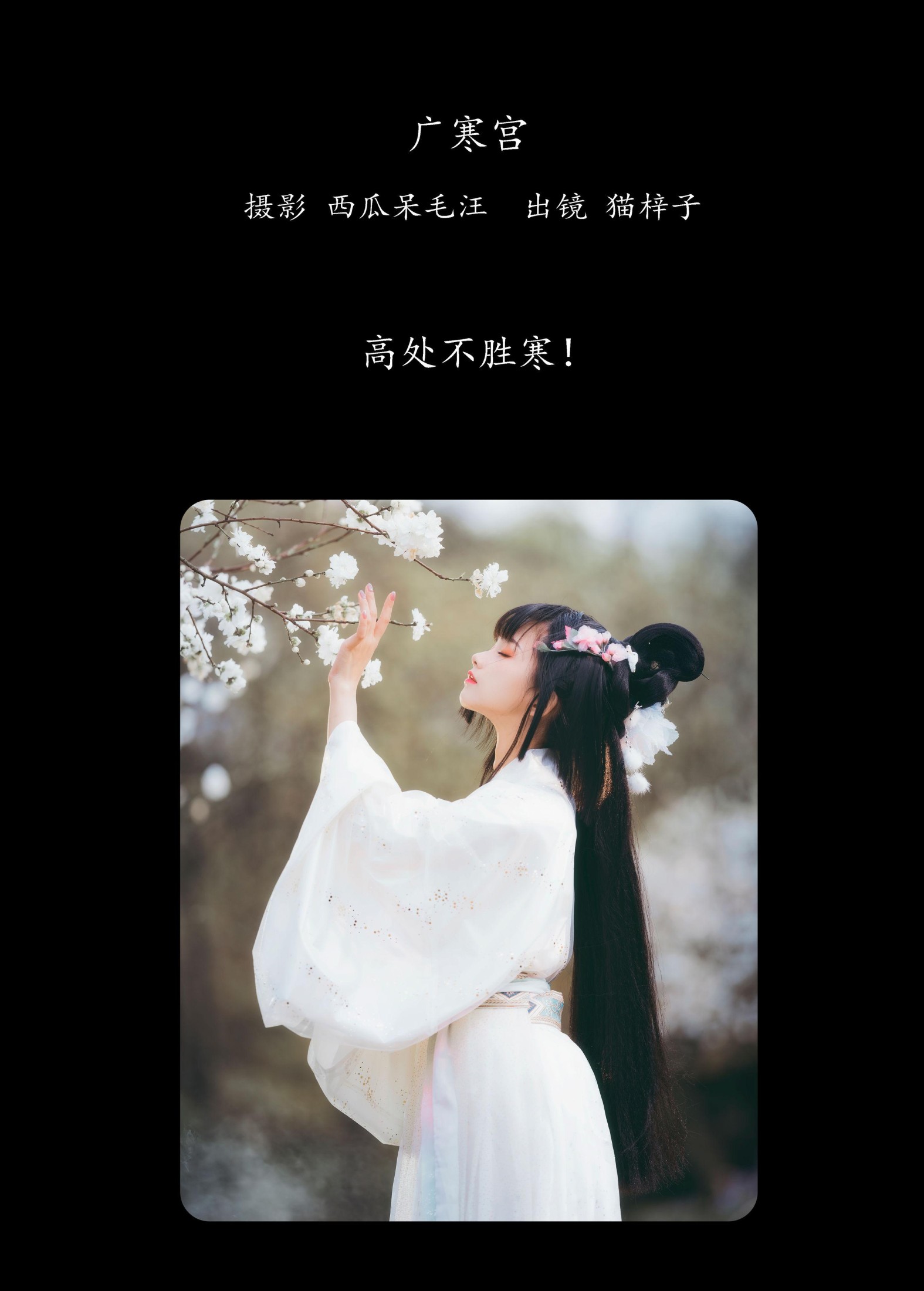 猫梓子 – 《广寒宫》[23P] 插图2