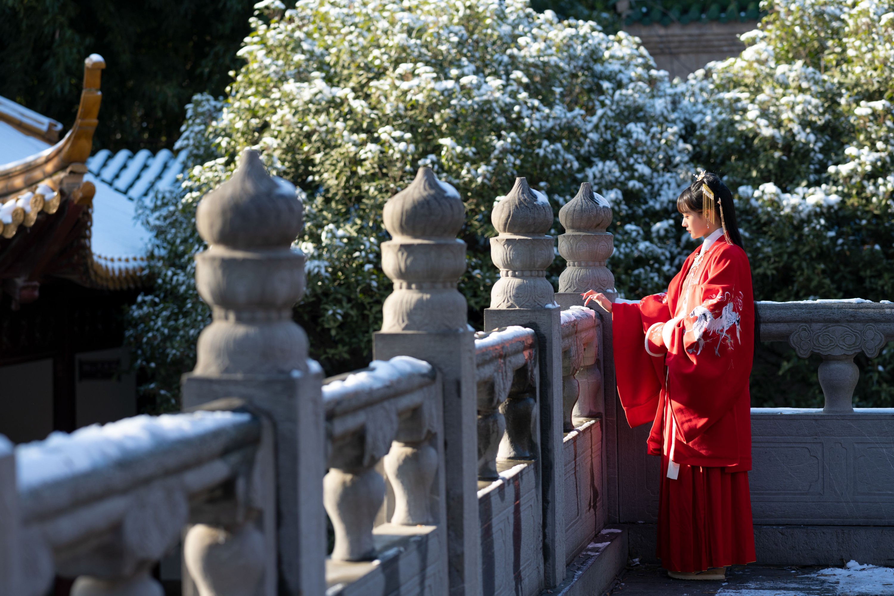 兔子Zzz不吃胡萝卜 – 《深宫雪》[28P] 插图5