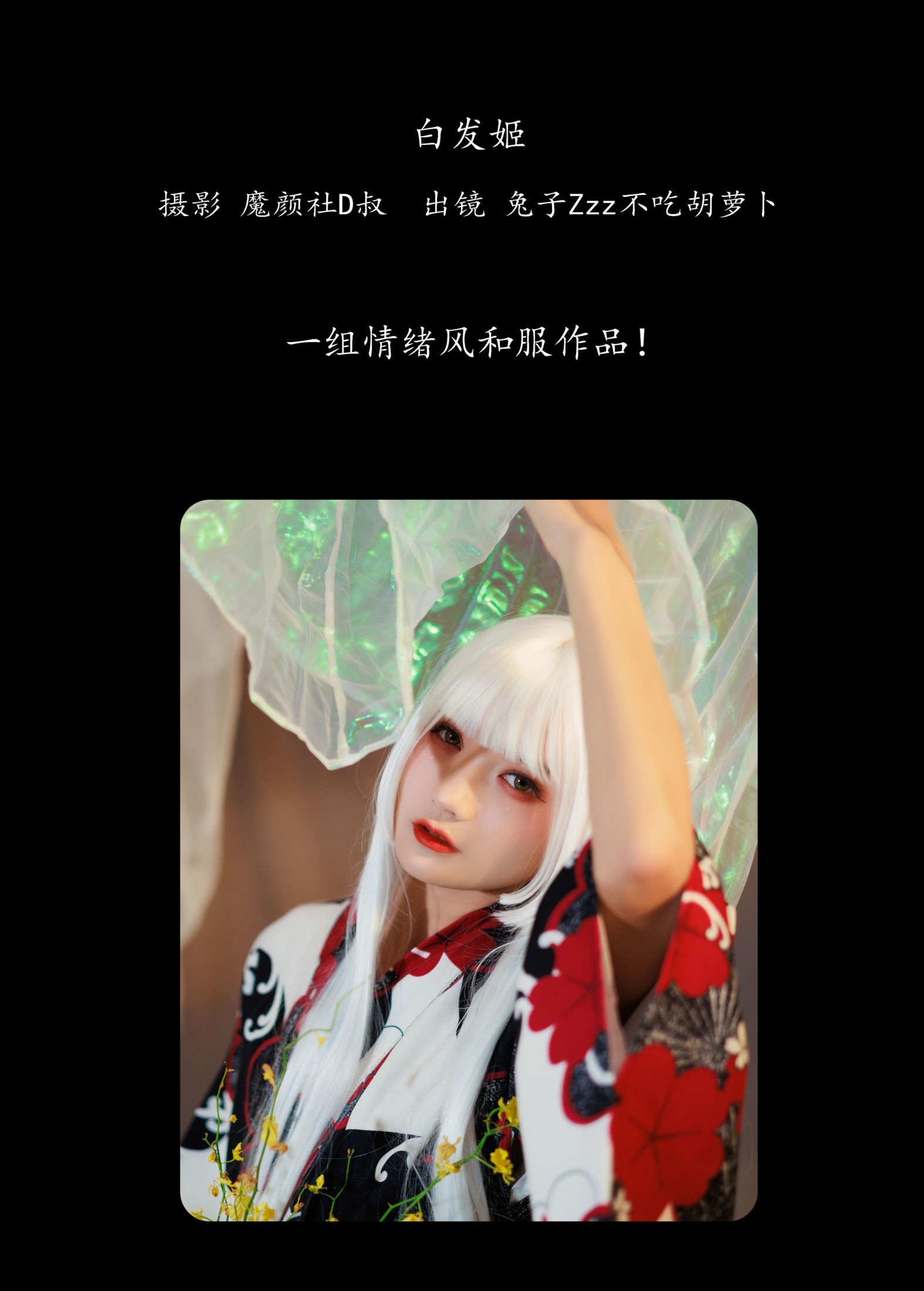 兔子Zzz不吃胡萝卜 – 《白发姬》[43P] 插图2