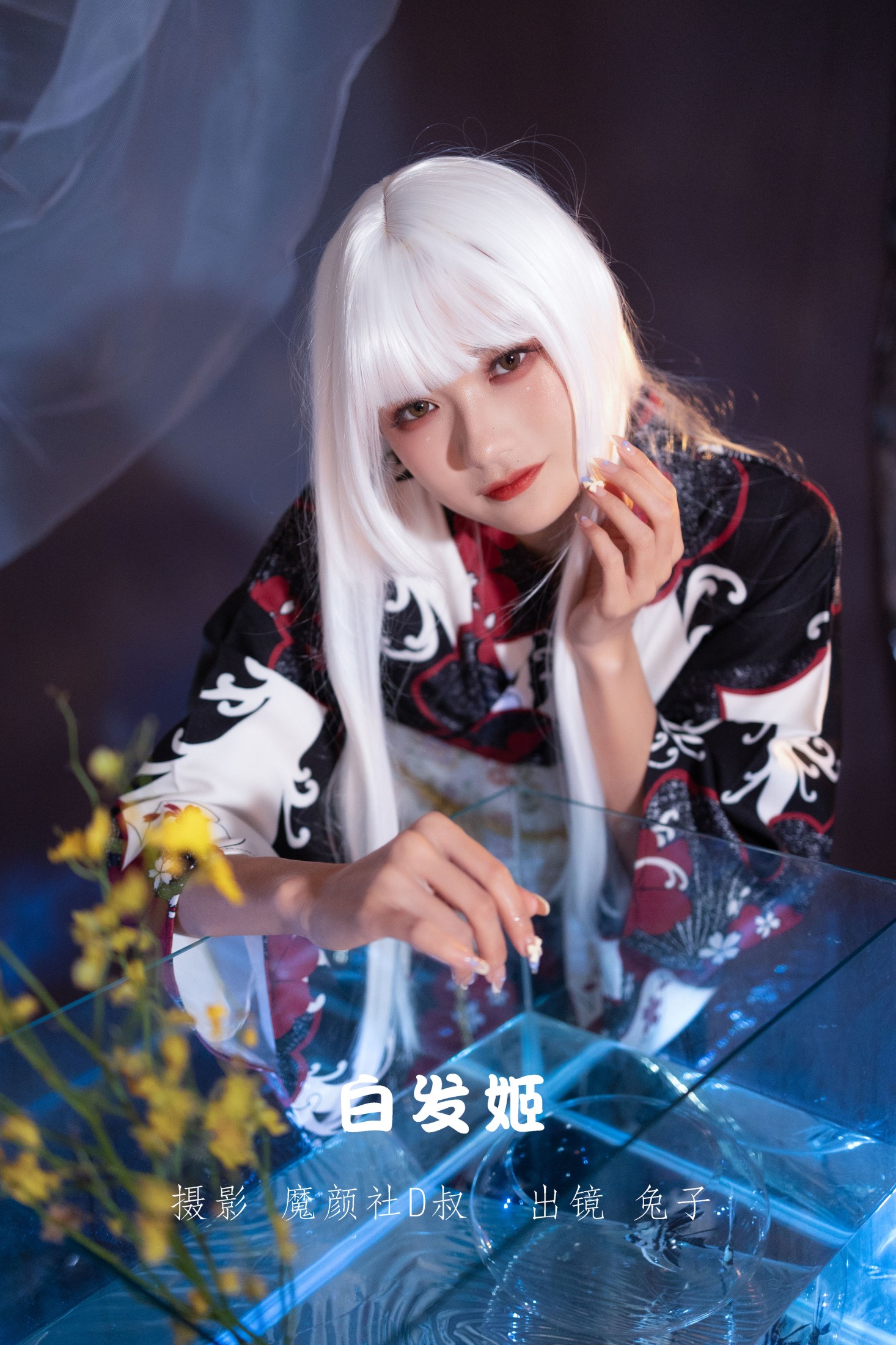 兔子Zzz不吃胡萝卜 – 《白发姬》[43P]-66COS