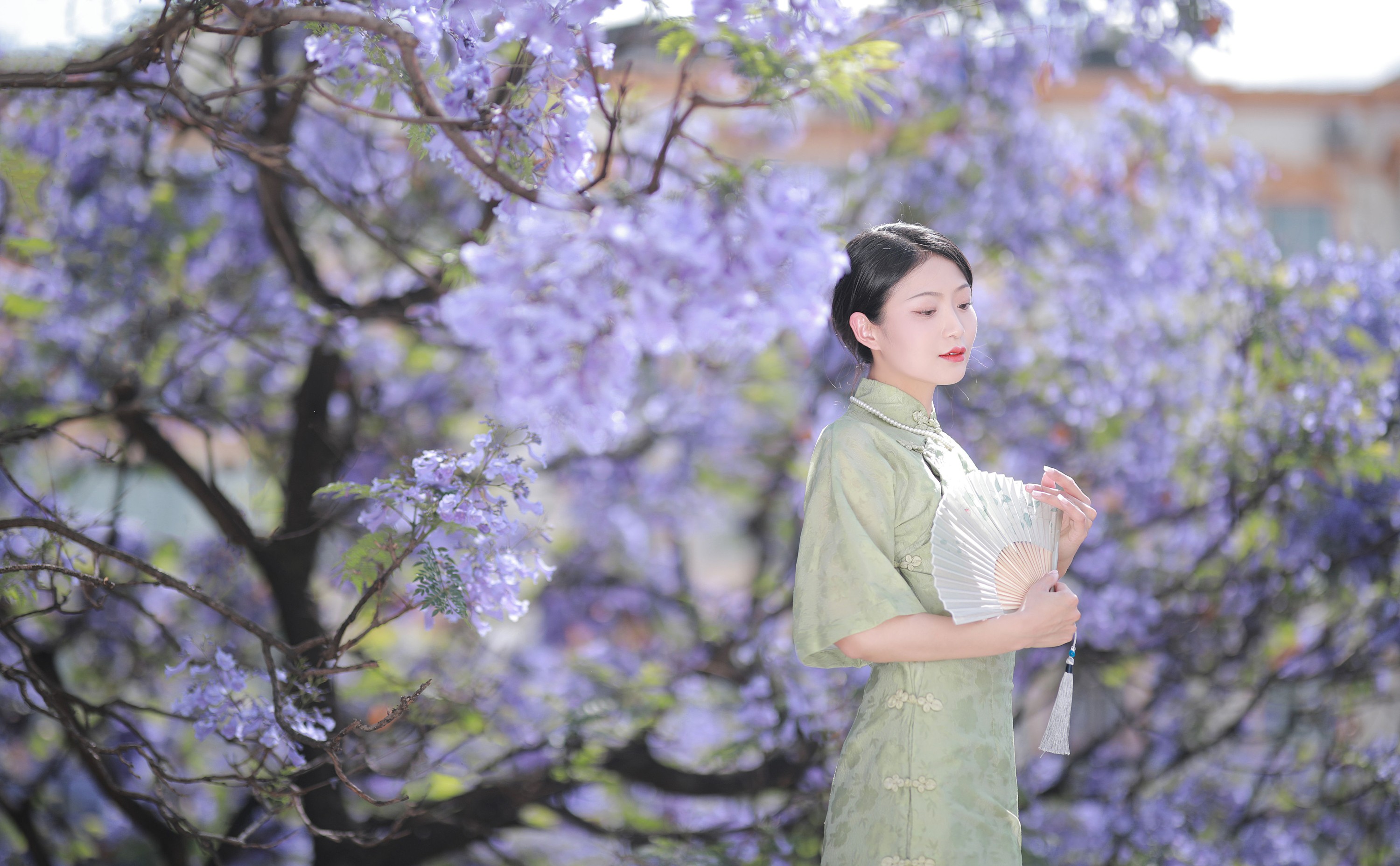 nya酱的铃铛铛 – 《蓝花楹》[24P] 插图4