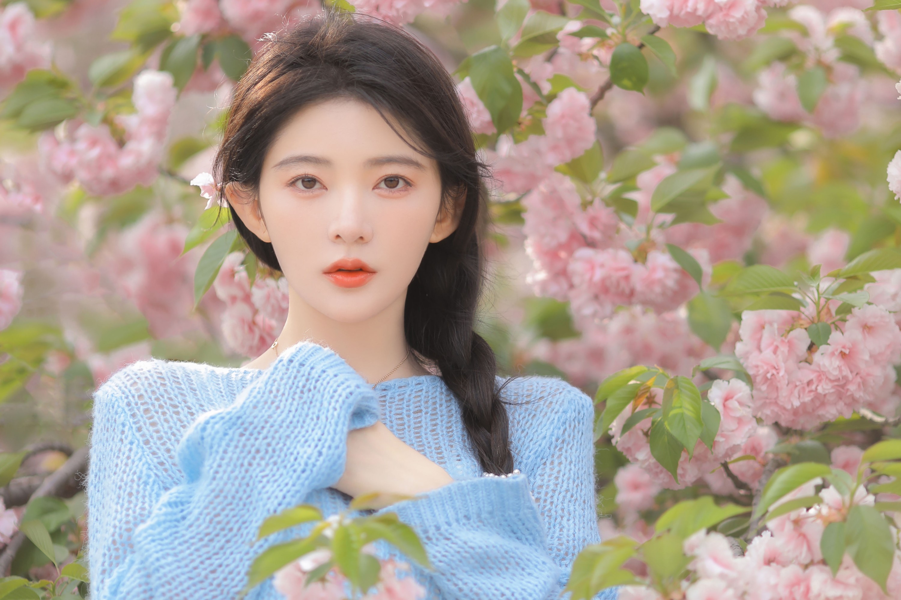 杨伊墨 – 《粉蓝晚樱》[29P] 插图5