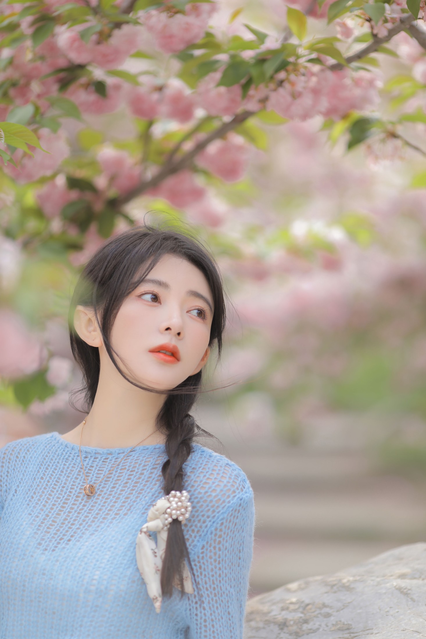 杨伊墨 – 《粉蓝晚樱》[29P] 插图3