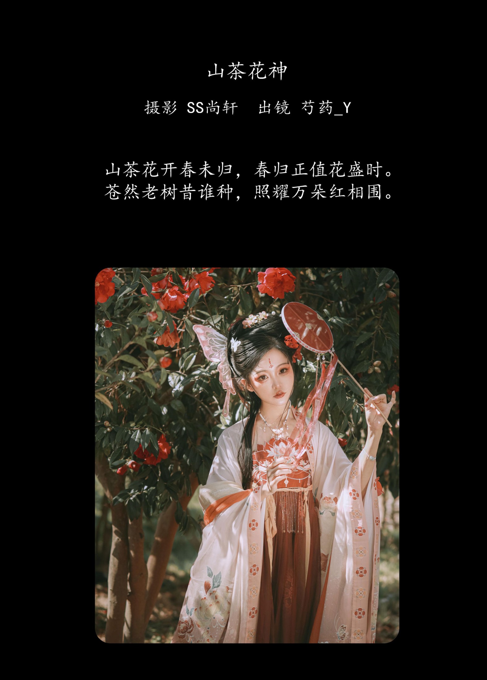芍药_Y – 《山茶花神》[42P] 插图2