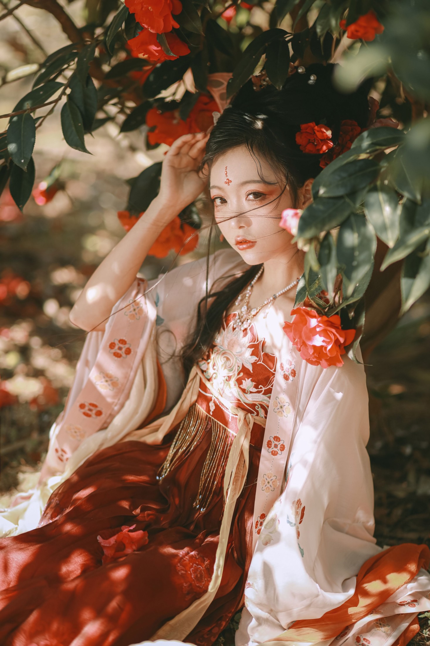 芍药_Y – 《山茶花神》[42P] 插图4