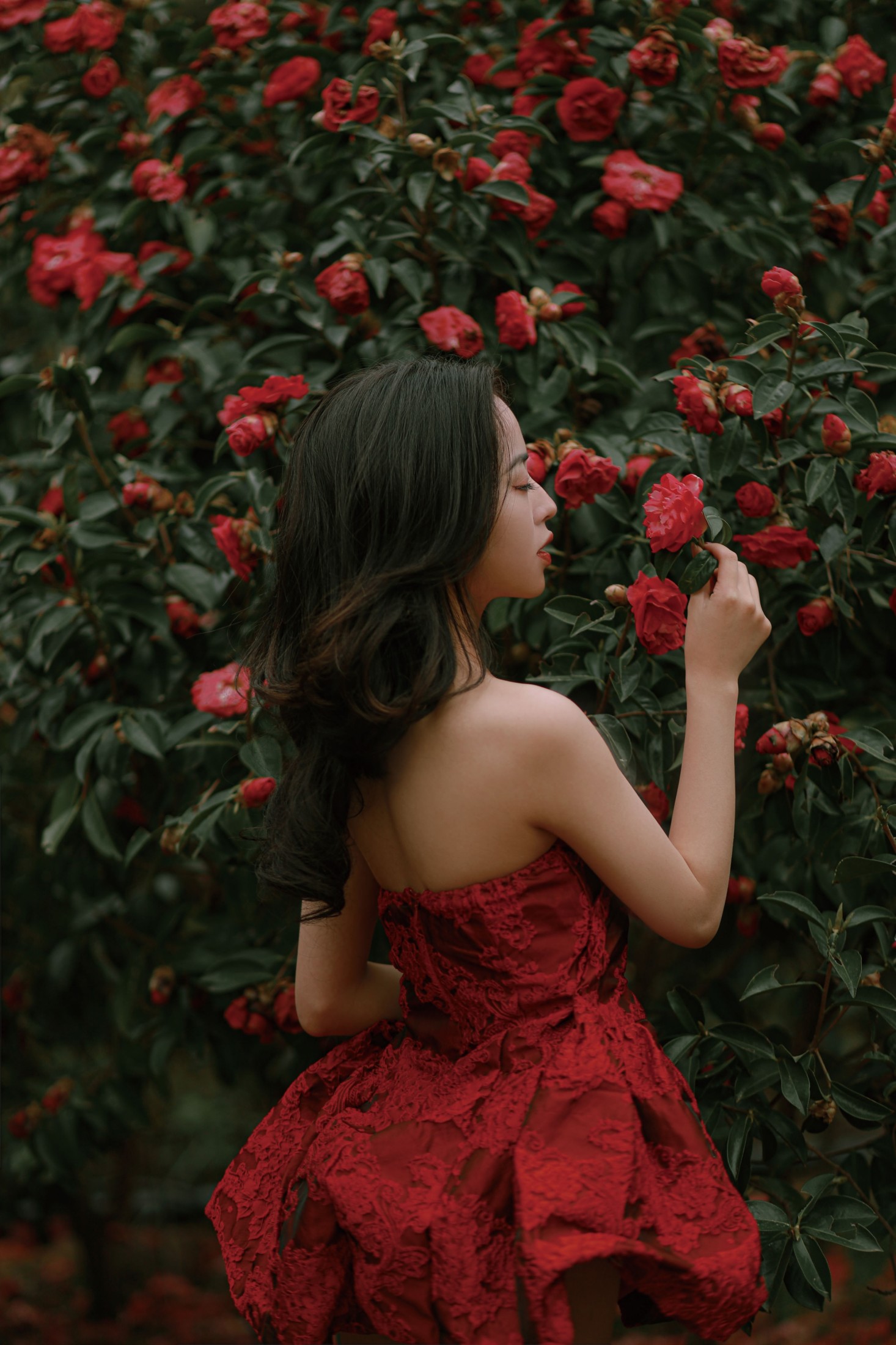 卖恐龙的小红薯 – 《落红》[47P] 插图3