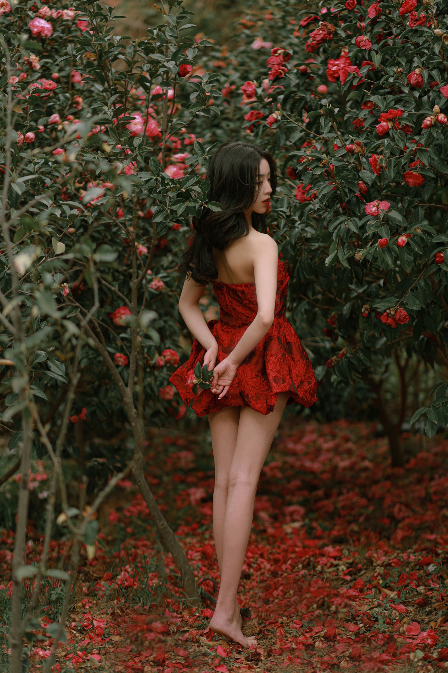 卖恐龙的小红薯 – 《落红》[47P] 插图5