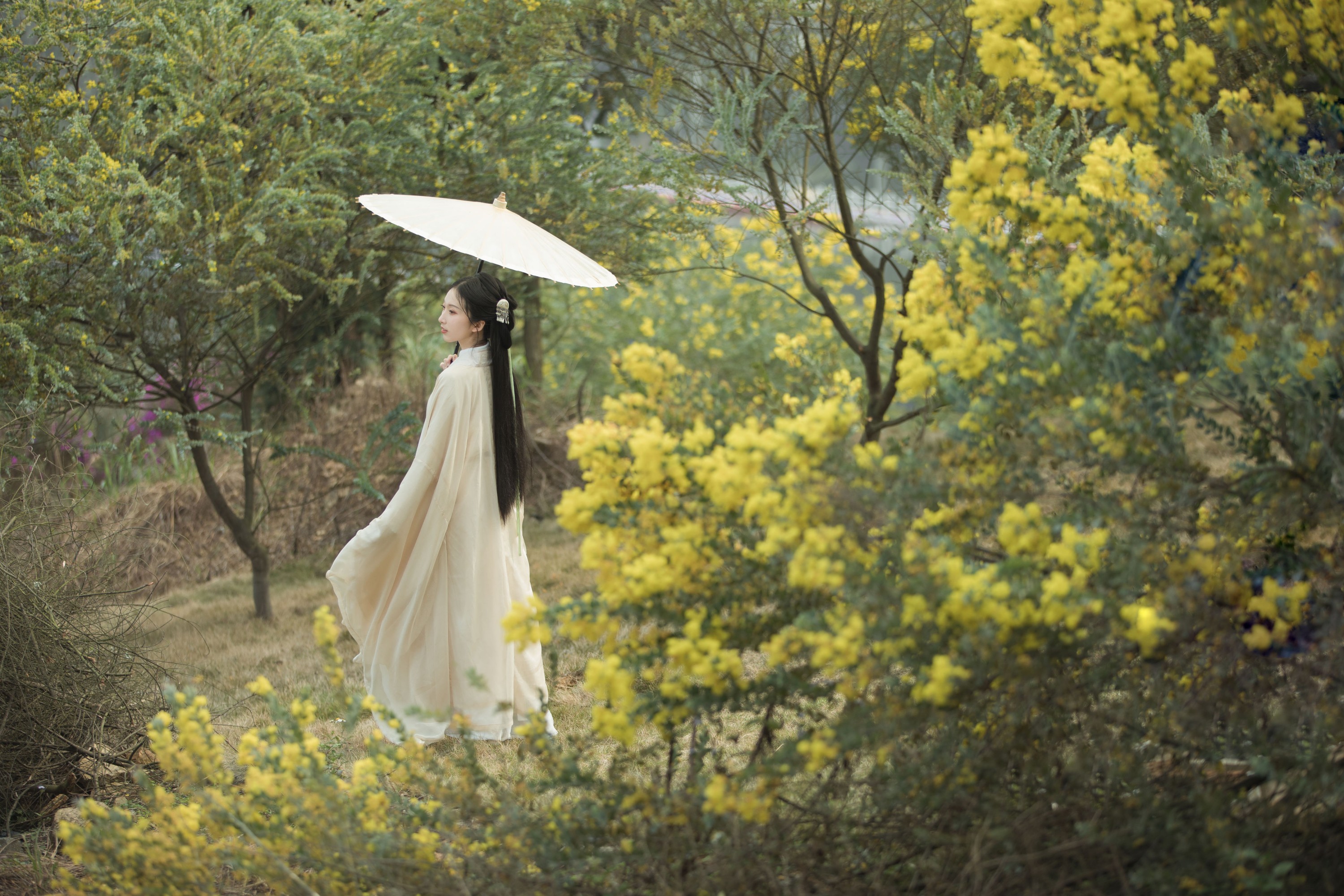 mininekoo – 《合欢枝》[22P] 插图3