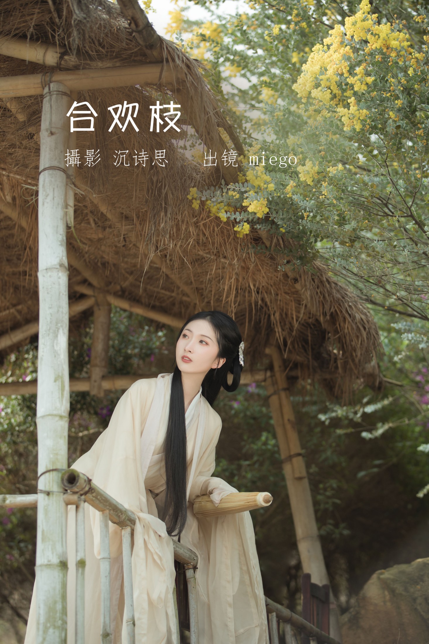 mininekoo – 《合欢枝》[22P]-66COS