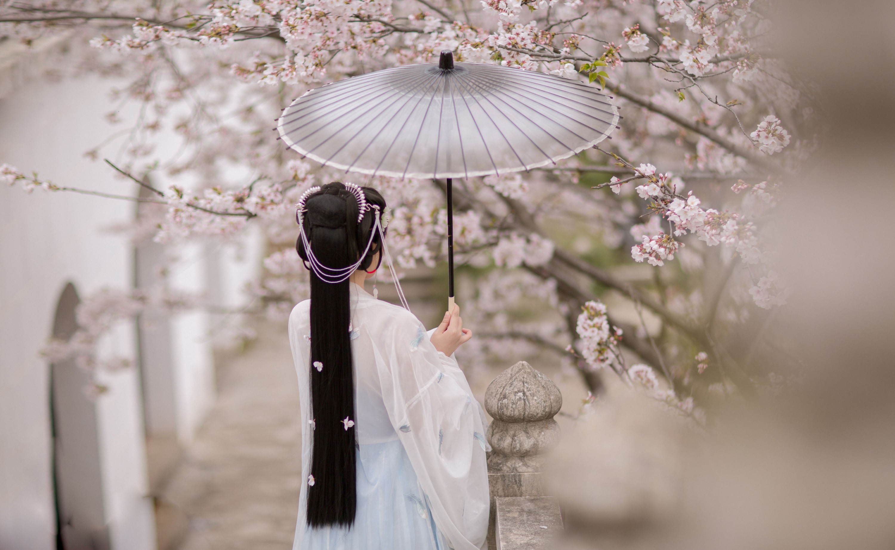 只喝奶盖 – 《樱》[21P] 插图5