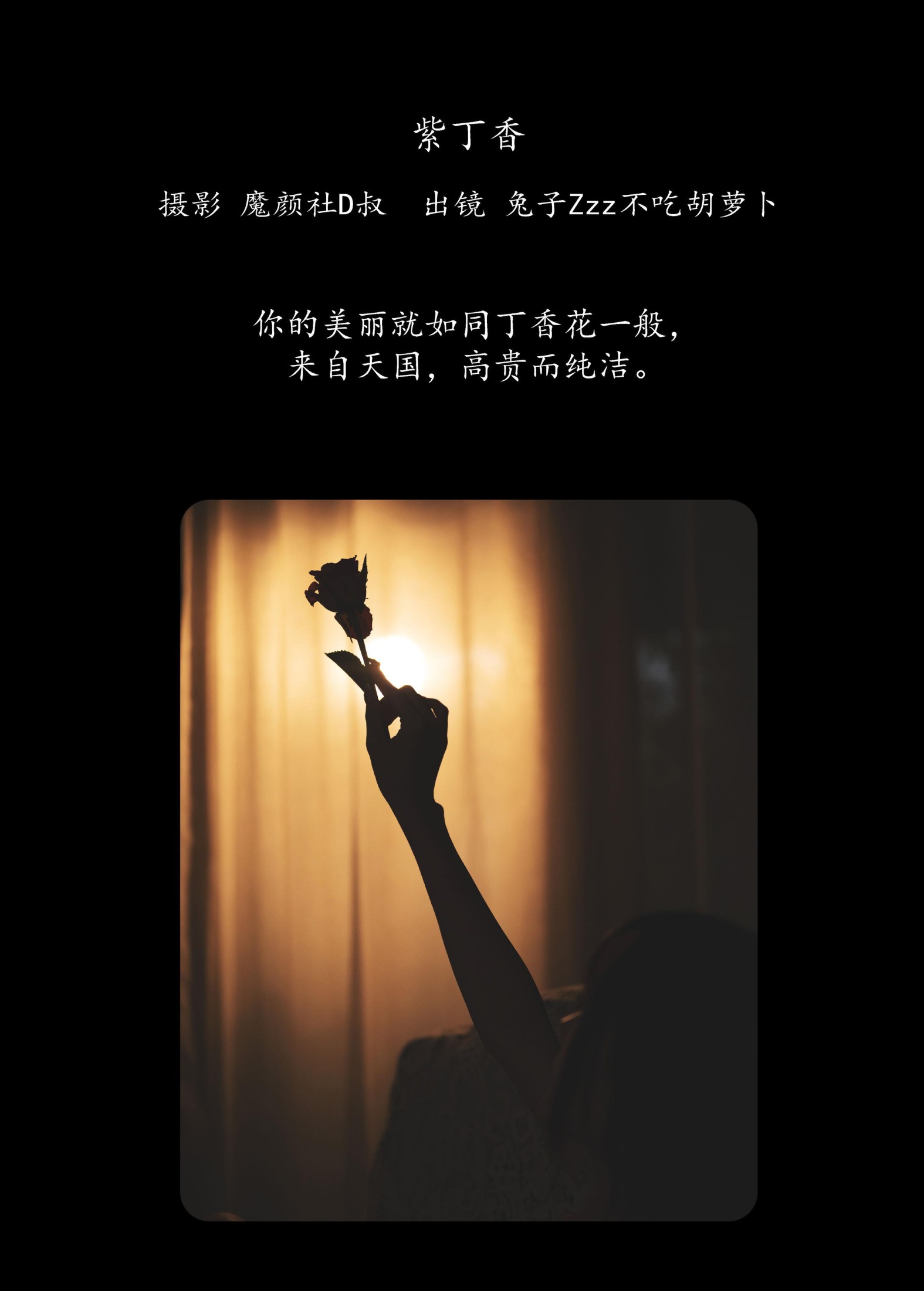 兔子Zzz不吃胡萝卜 – 《紫丁香》[41P] 插图2