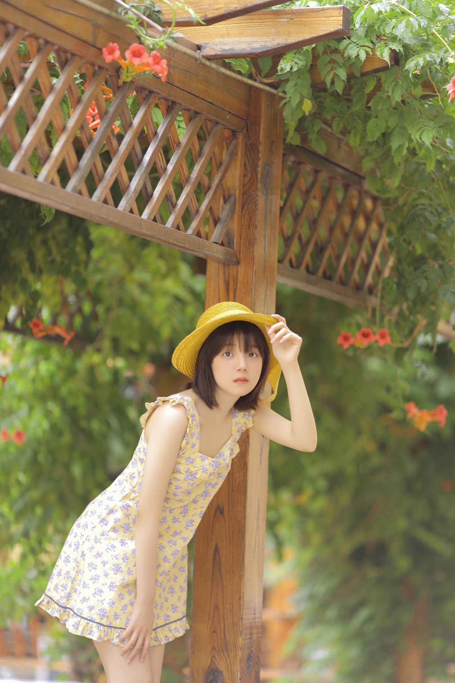 不知秃 – 《悠悠夏日长》[20P] 插图5