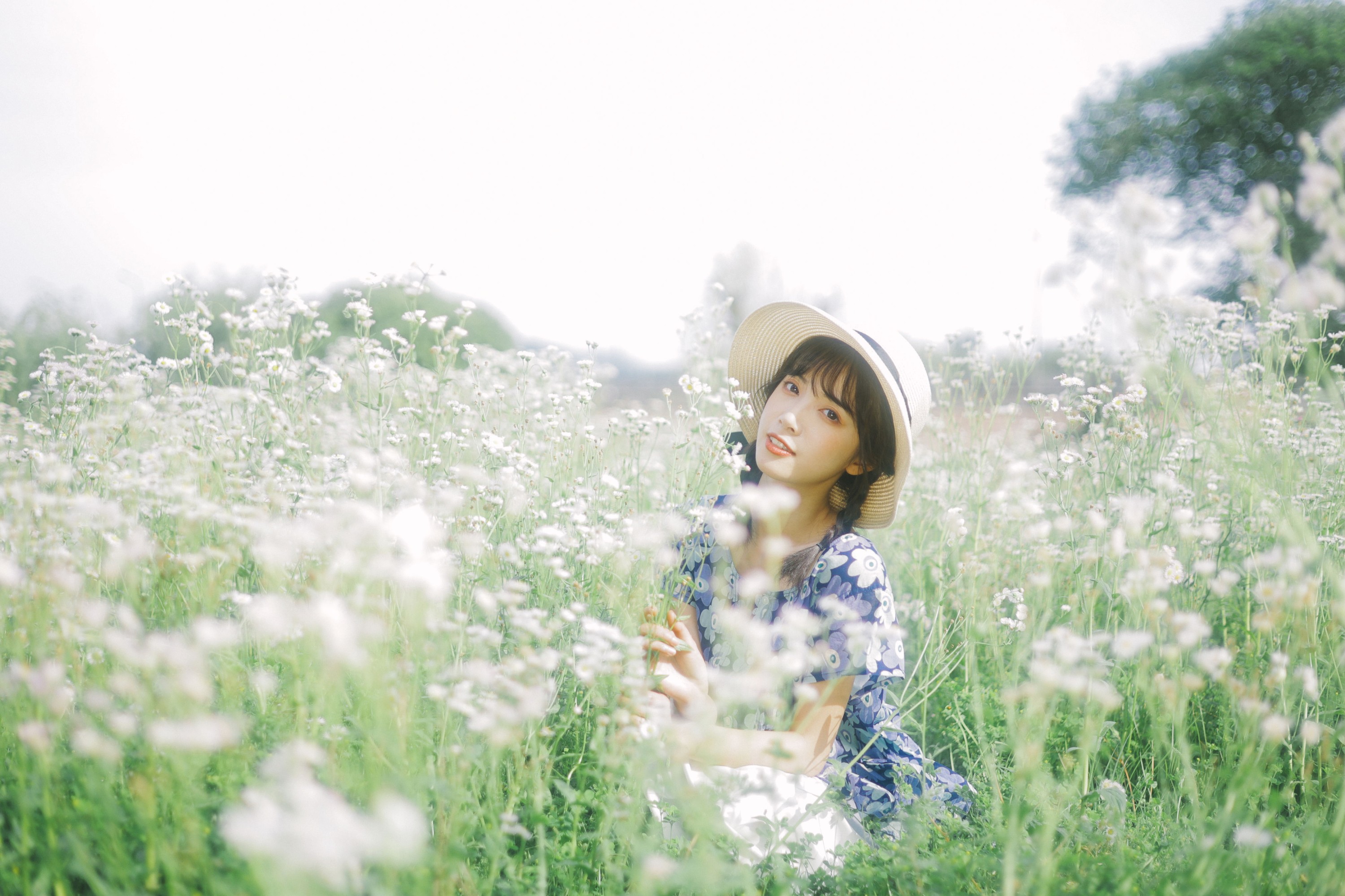 一只阿梦崽 – 《初夏的花海》[35P] 插图4