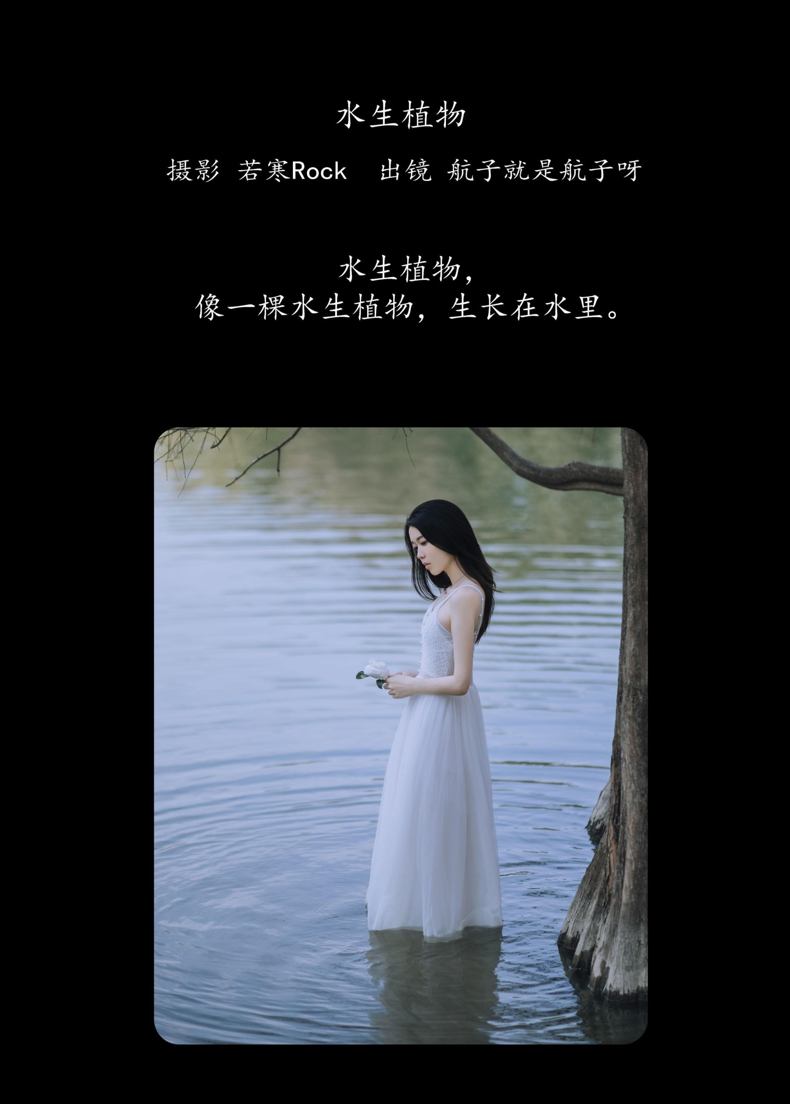 航子就是航子呀 – 《水生植物》[24P] 插图2