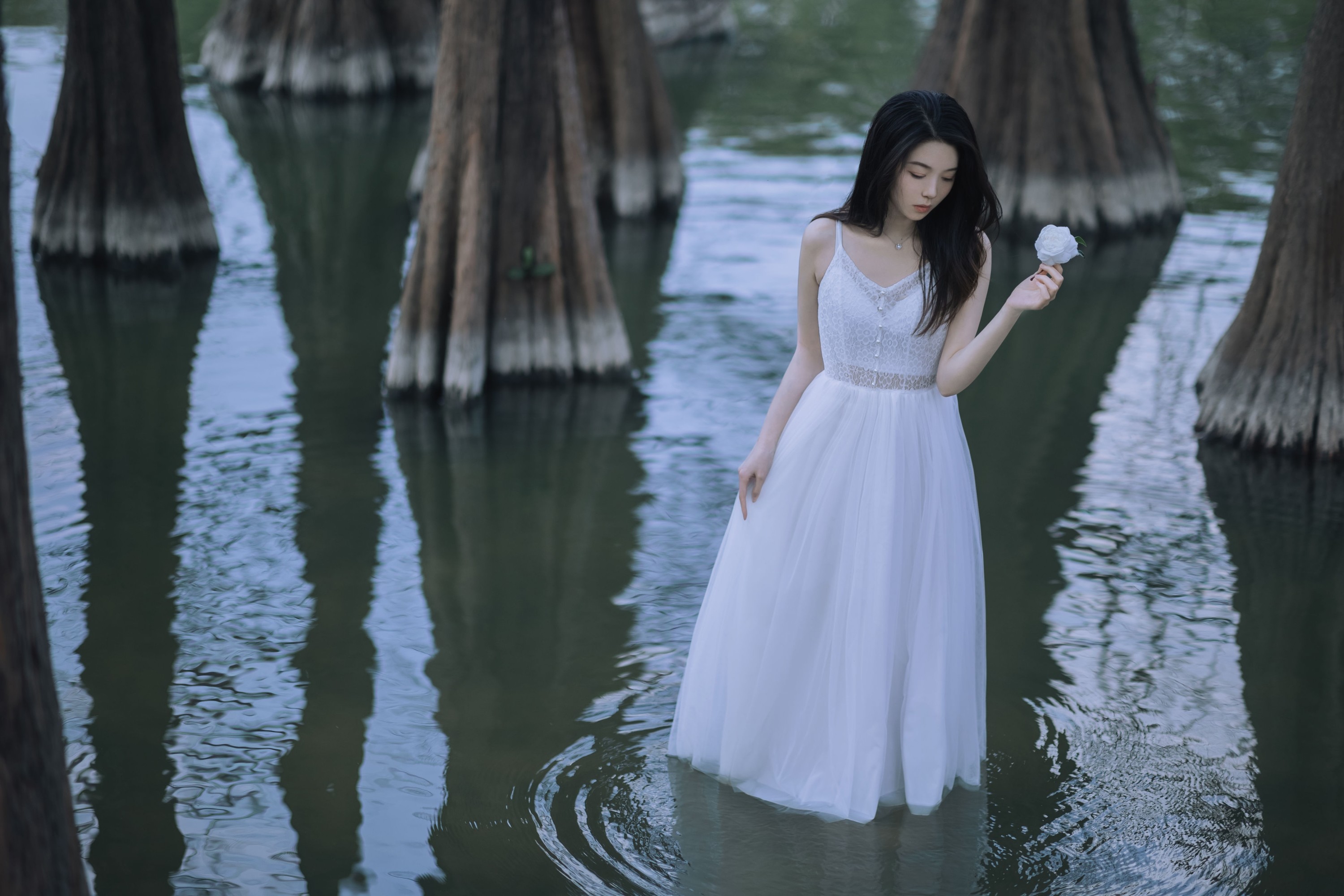 航子就是航子呀 – 《水生植物》[24P] 插图3