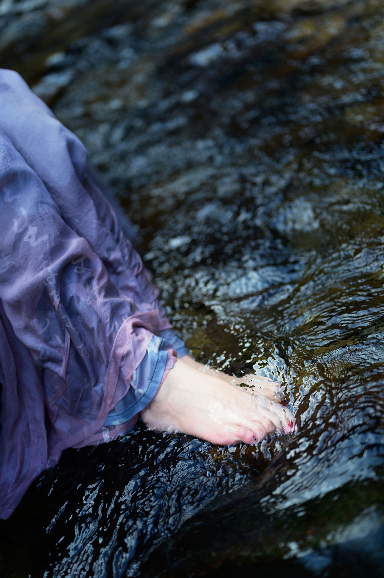 兔子Zzz不吃胡萝卜 – 《寻蝶梦》[36P] 插图5