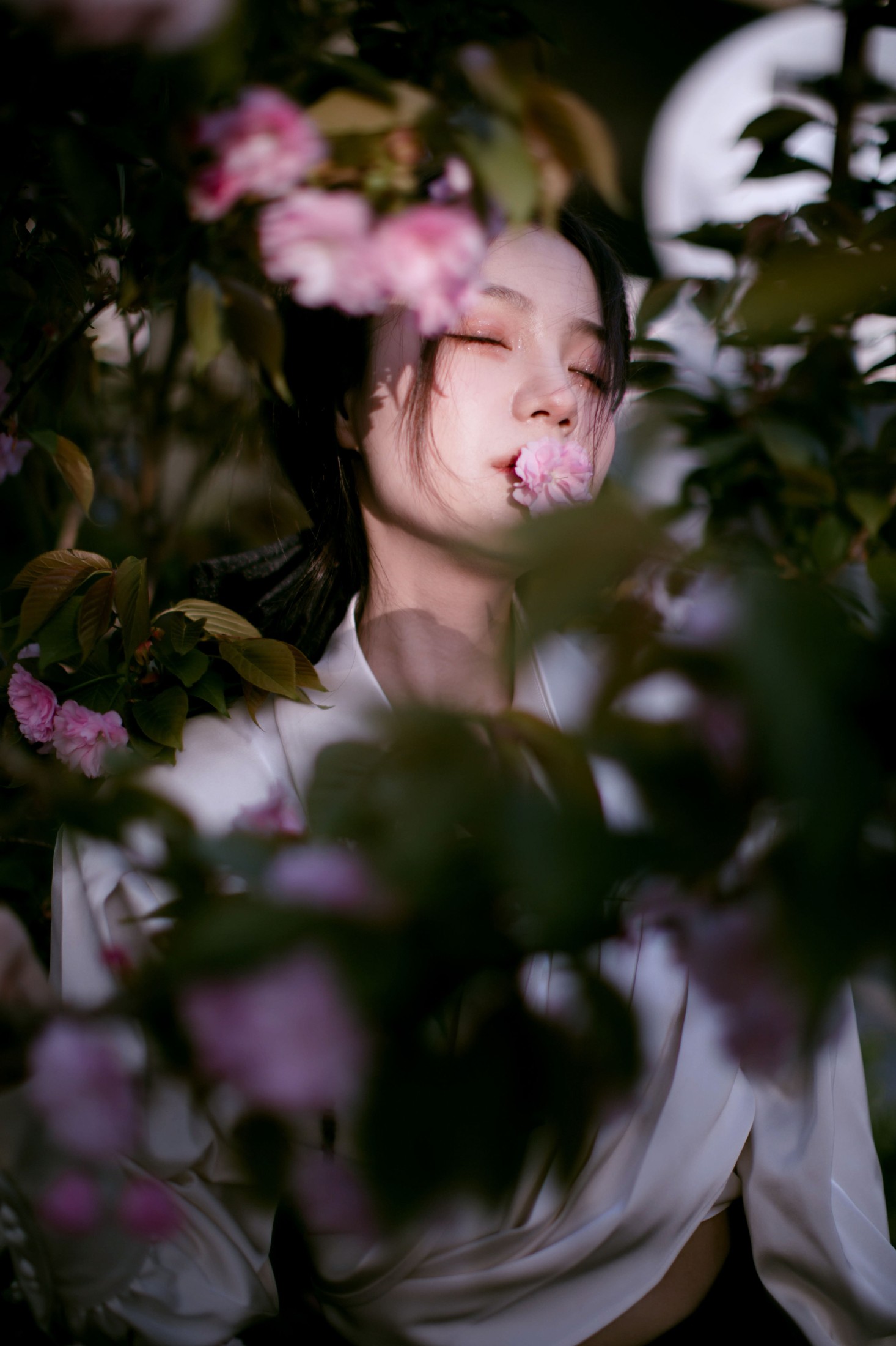 夏芸是只小考拉 – 《花宴》[22P] 插图5