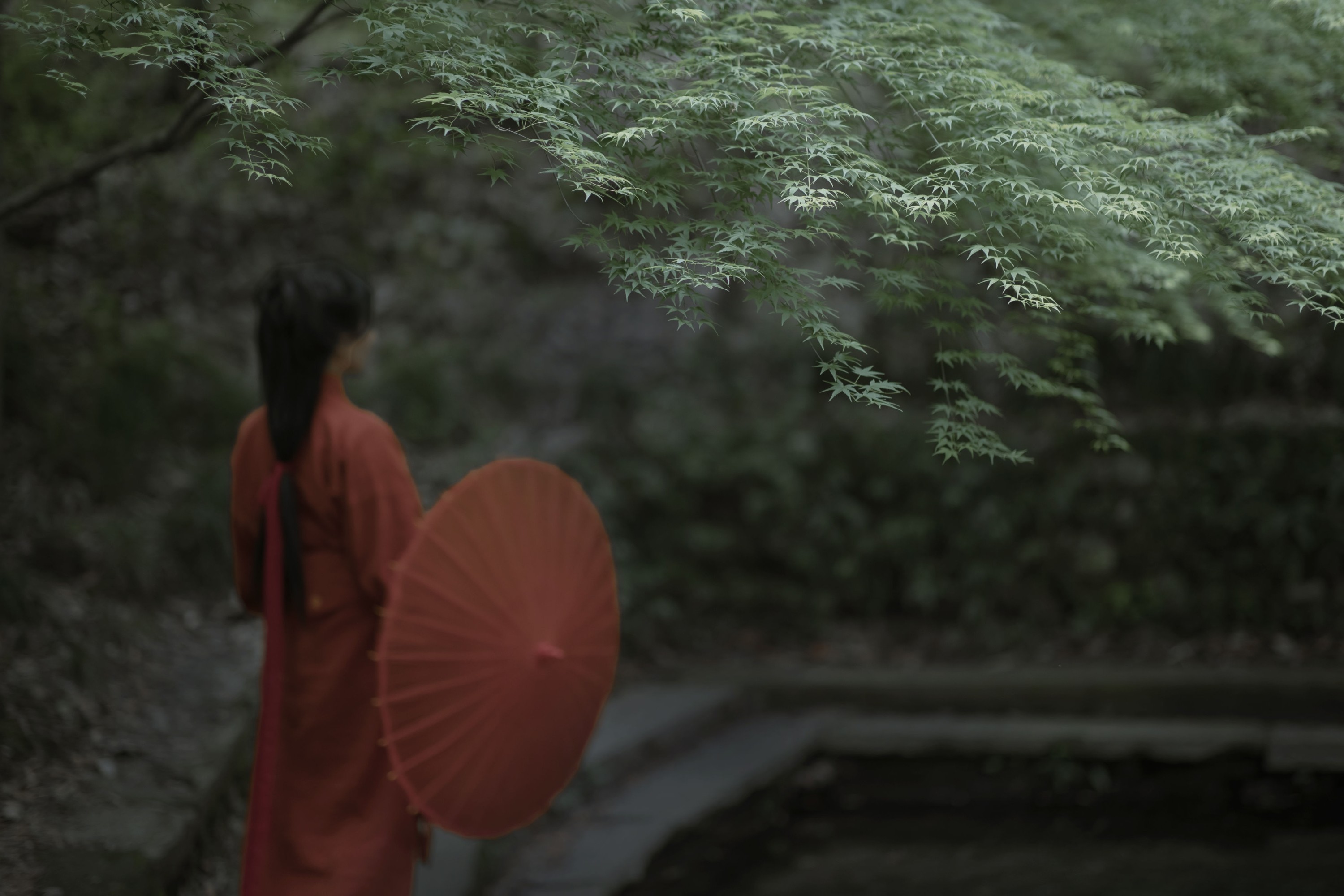 阿銧 – 《探幽》[32P] 插图5