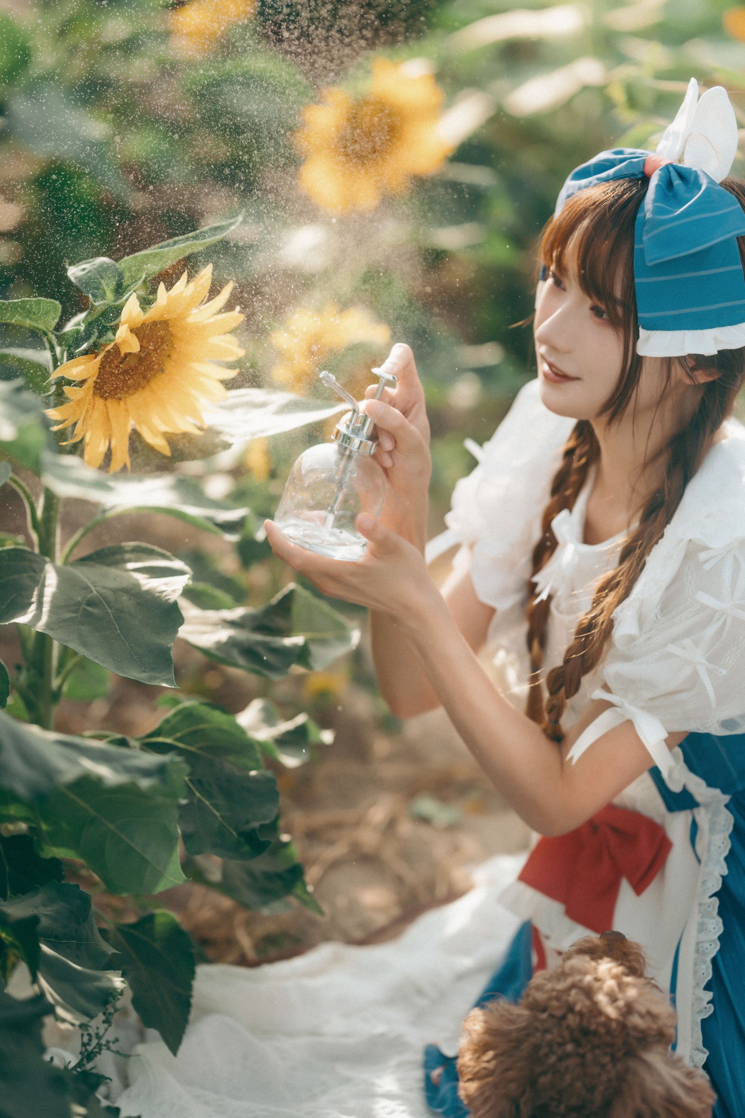 兔子Zzz不吃胡萝卜 – 《甜甜向日葵女孩》[32P] 插图4