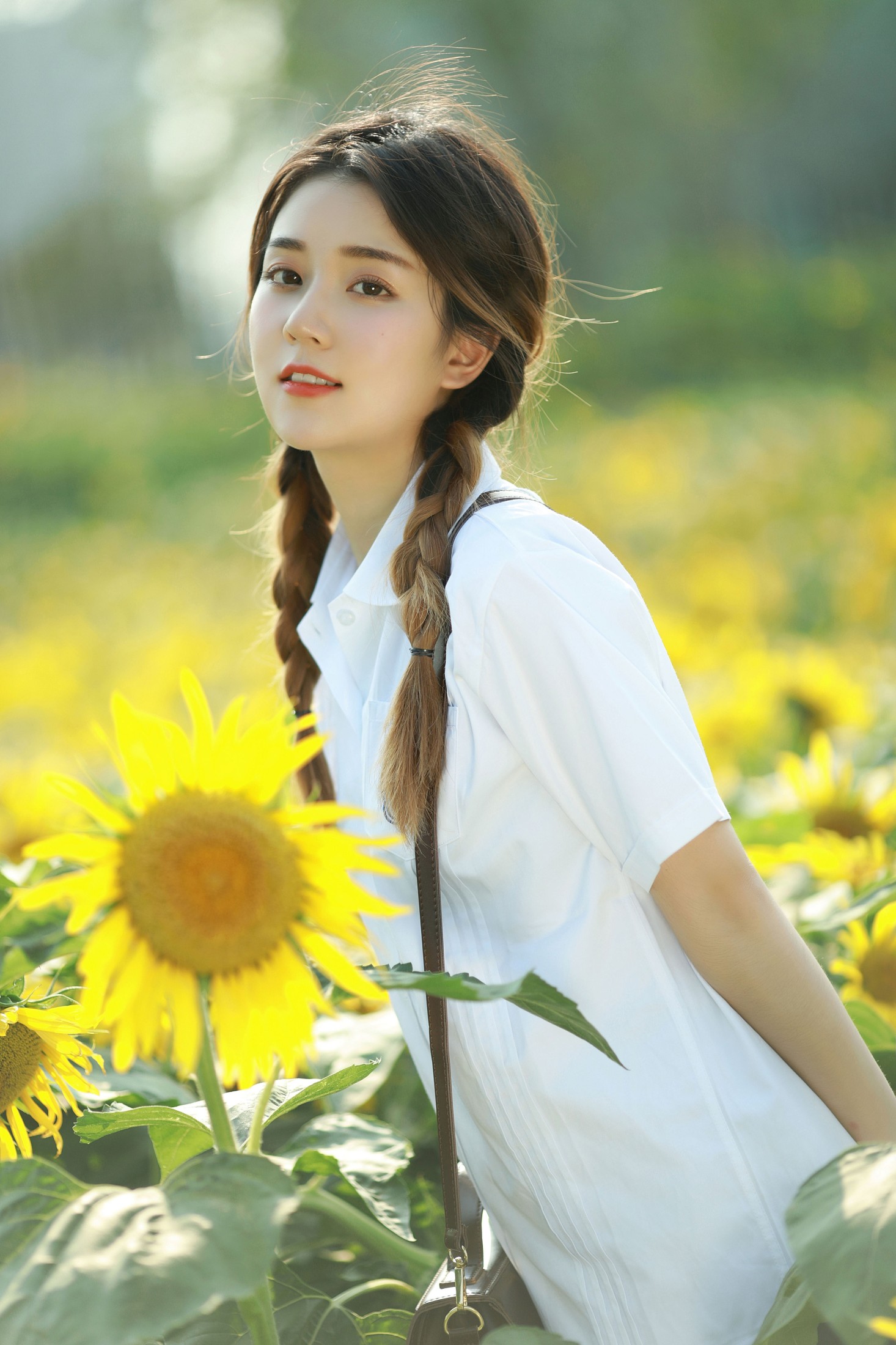 莎莎 – 《向日葵少女》[21P] 插图3