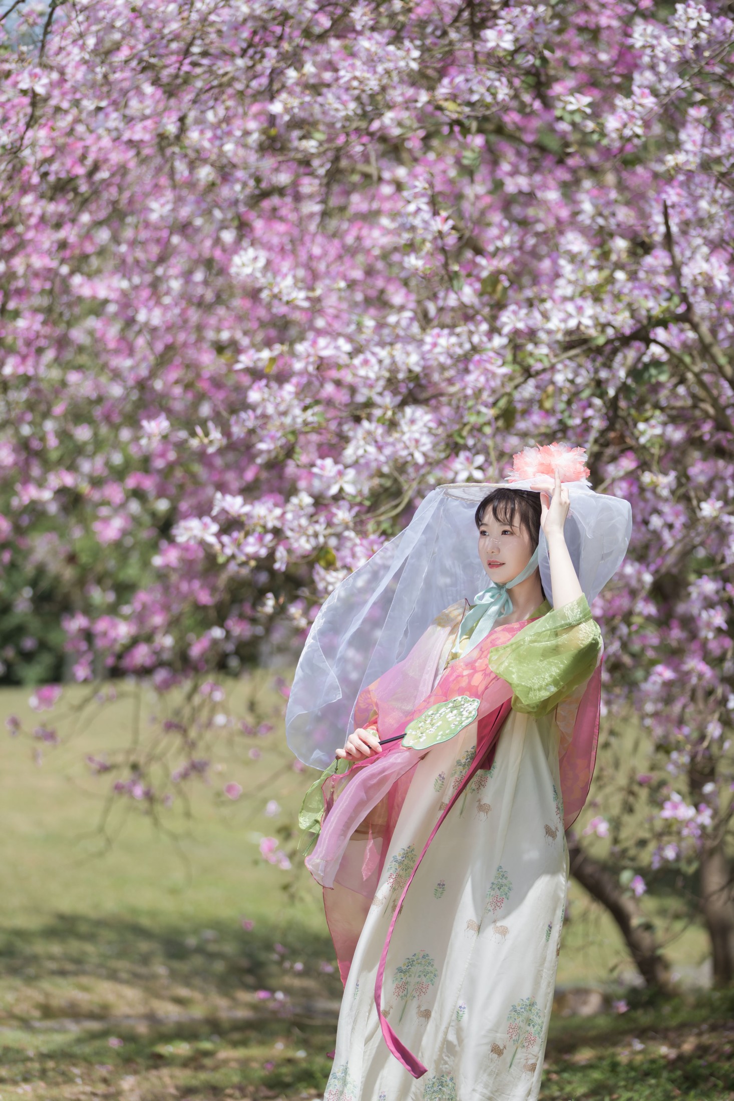 fun – 《花如锦》[28P] 插图3