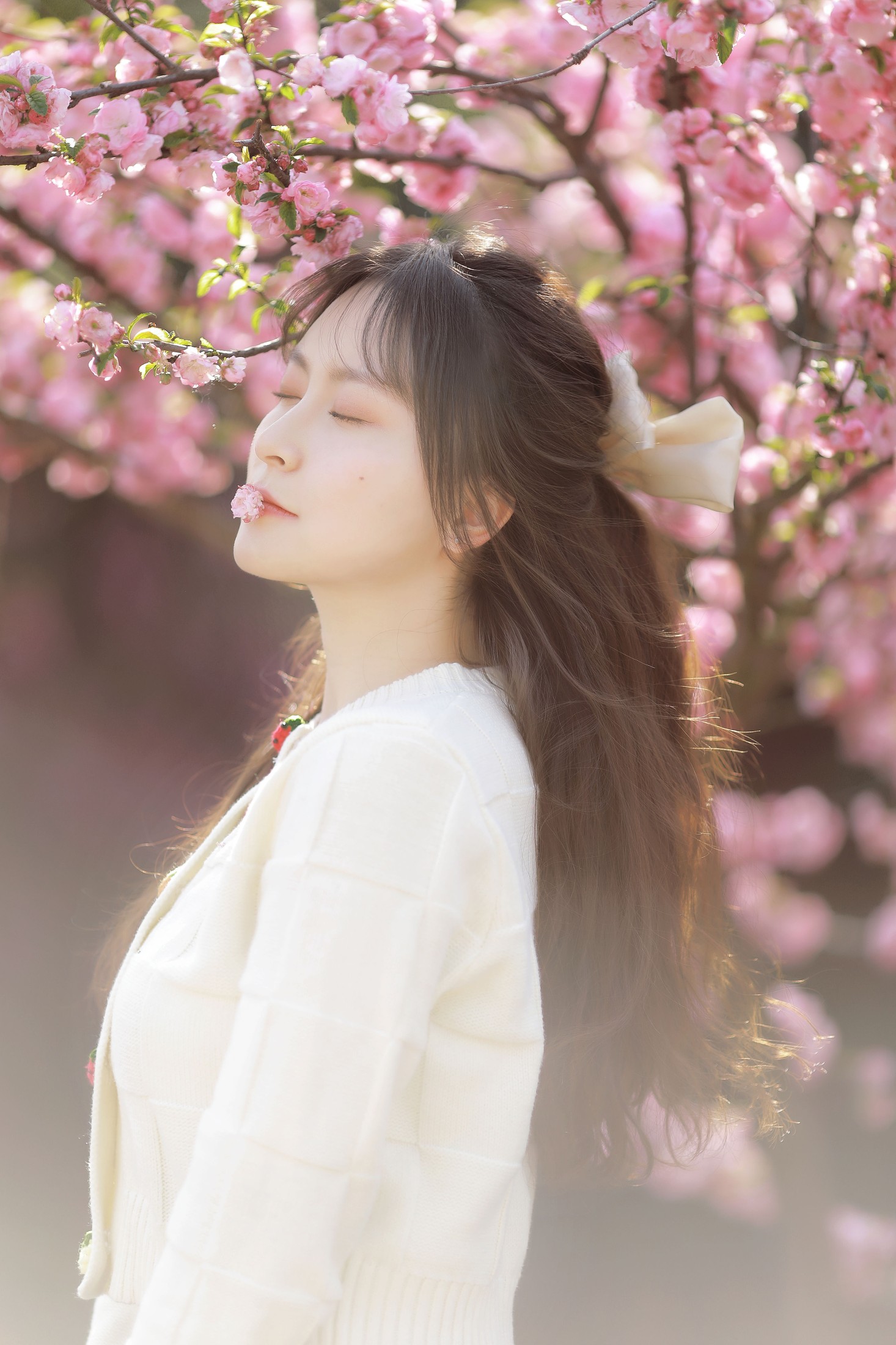 嘉嘉 – 《初樱》[20P] 插图5