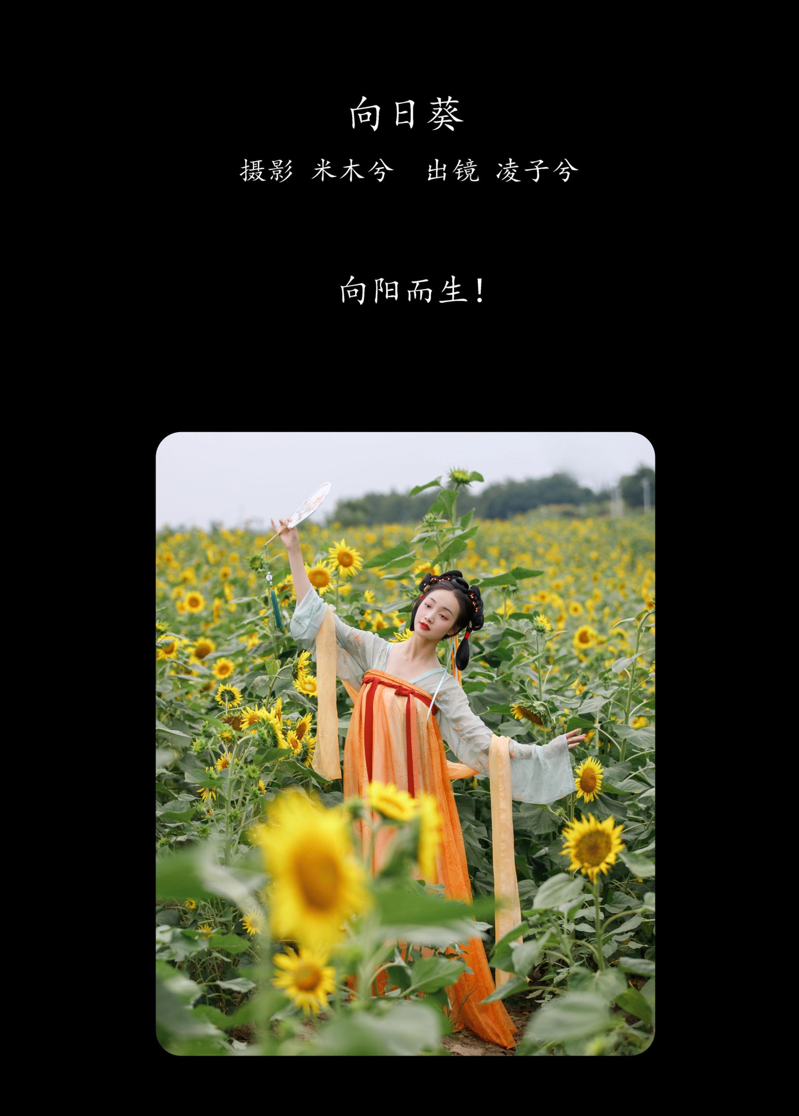 凌子兮 – 《向日葵》[22P] 插图2