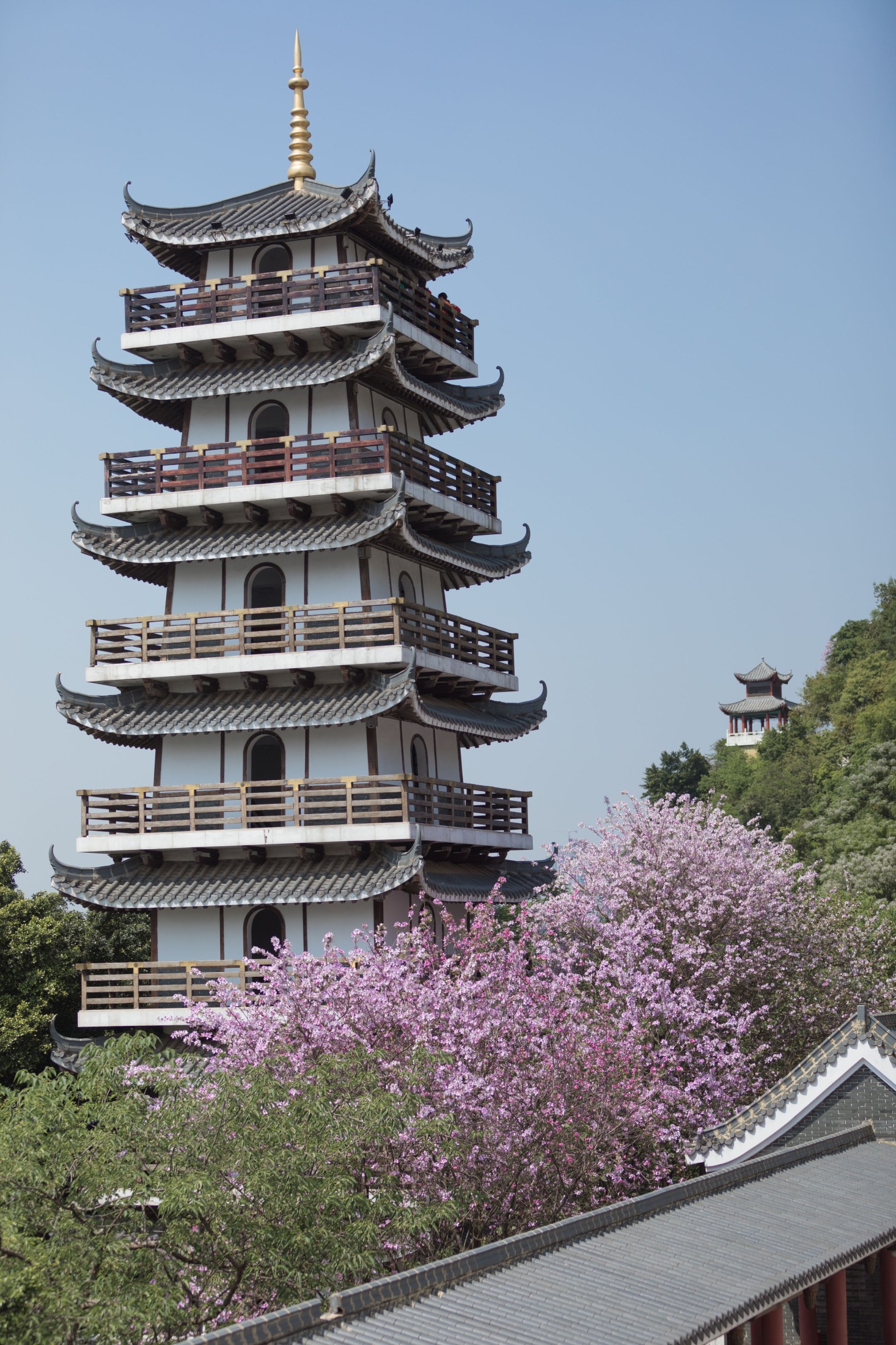 刘哈喇子 – 《袅娜》[26P] 插图5