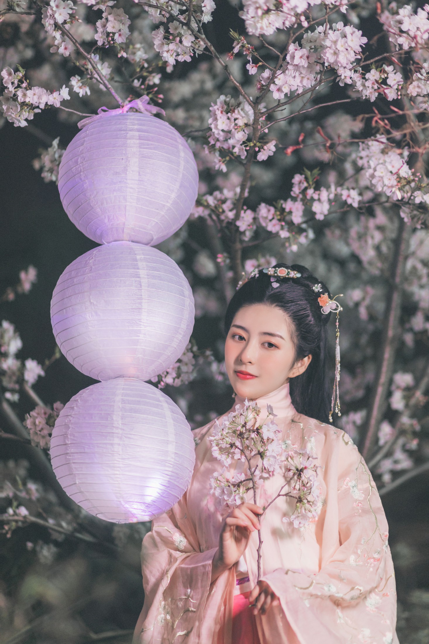 秘制大何酱 – 《夜樱》[25P] 插图3