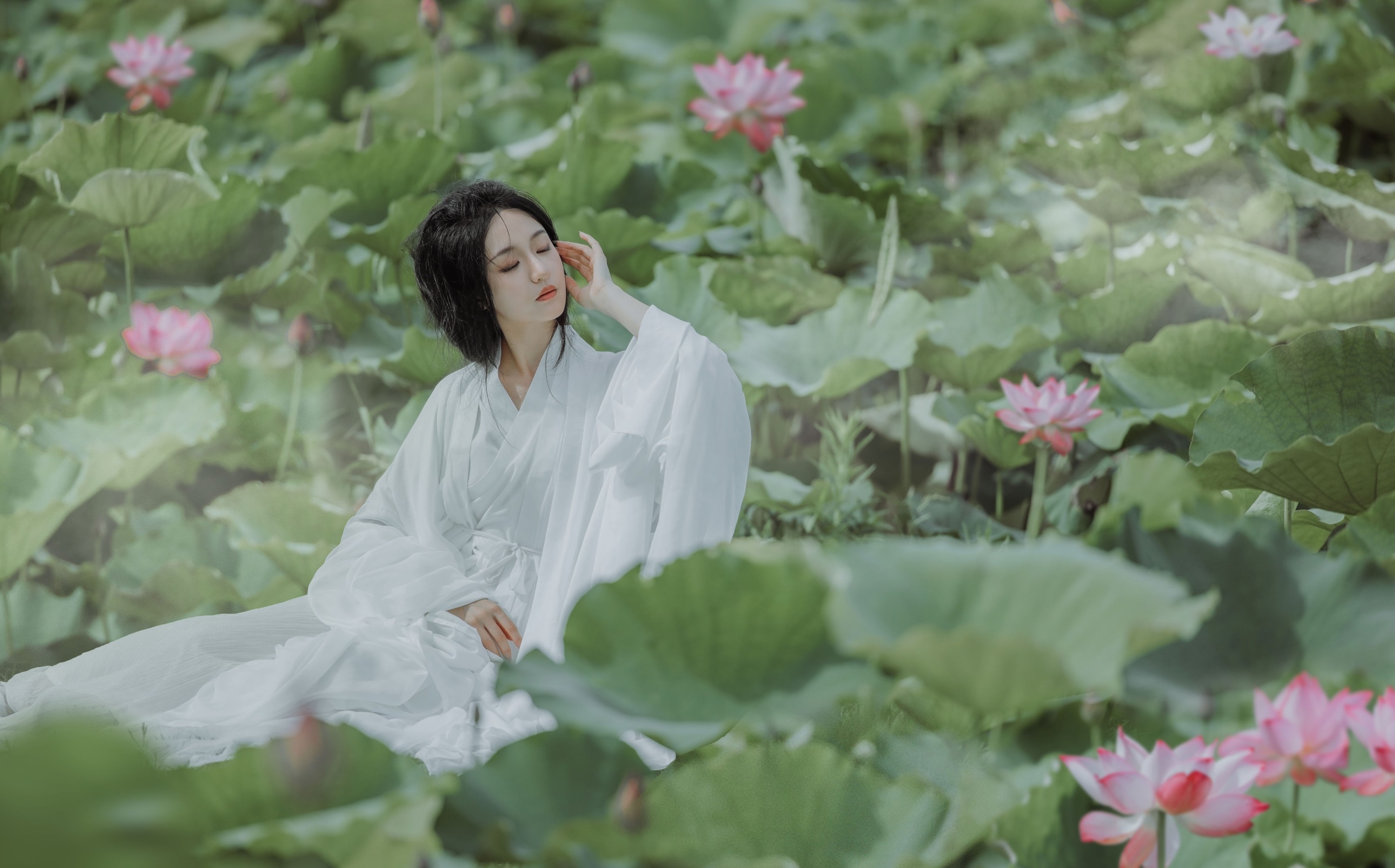 柒苡安 – 《荷花》[23P] 插图3