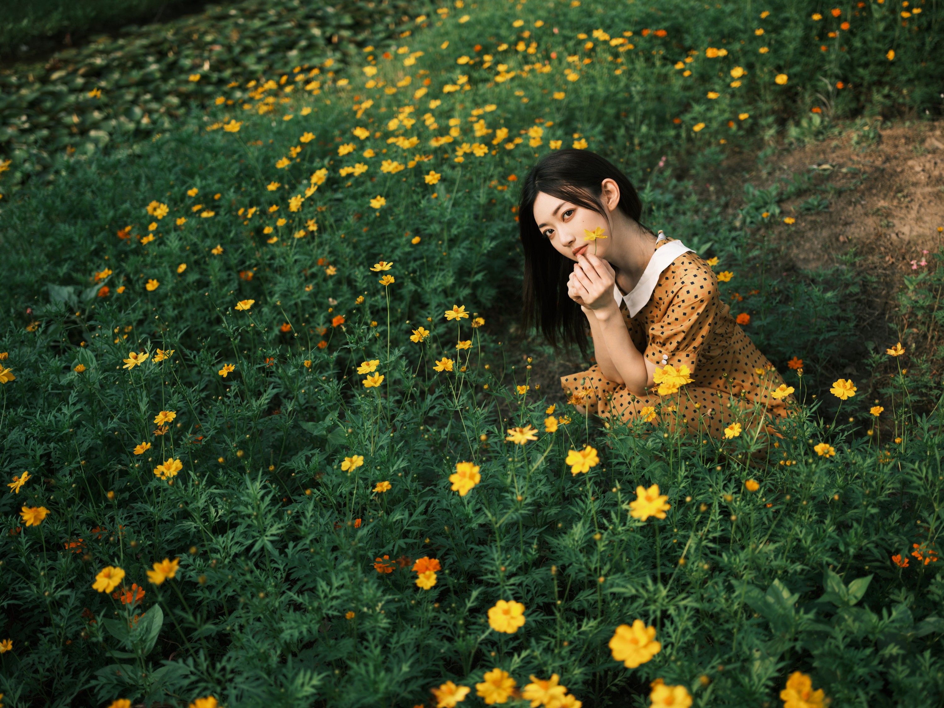 飞鸟咕咕- – 《硫华菊&柳叶马鞭草-是夏天的味道呀！》[44P] 插图4