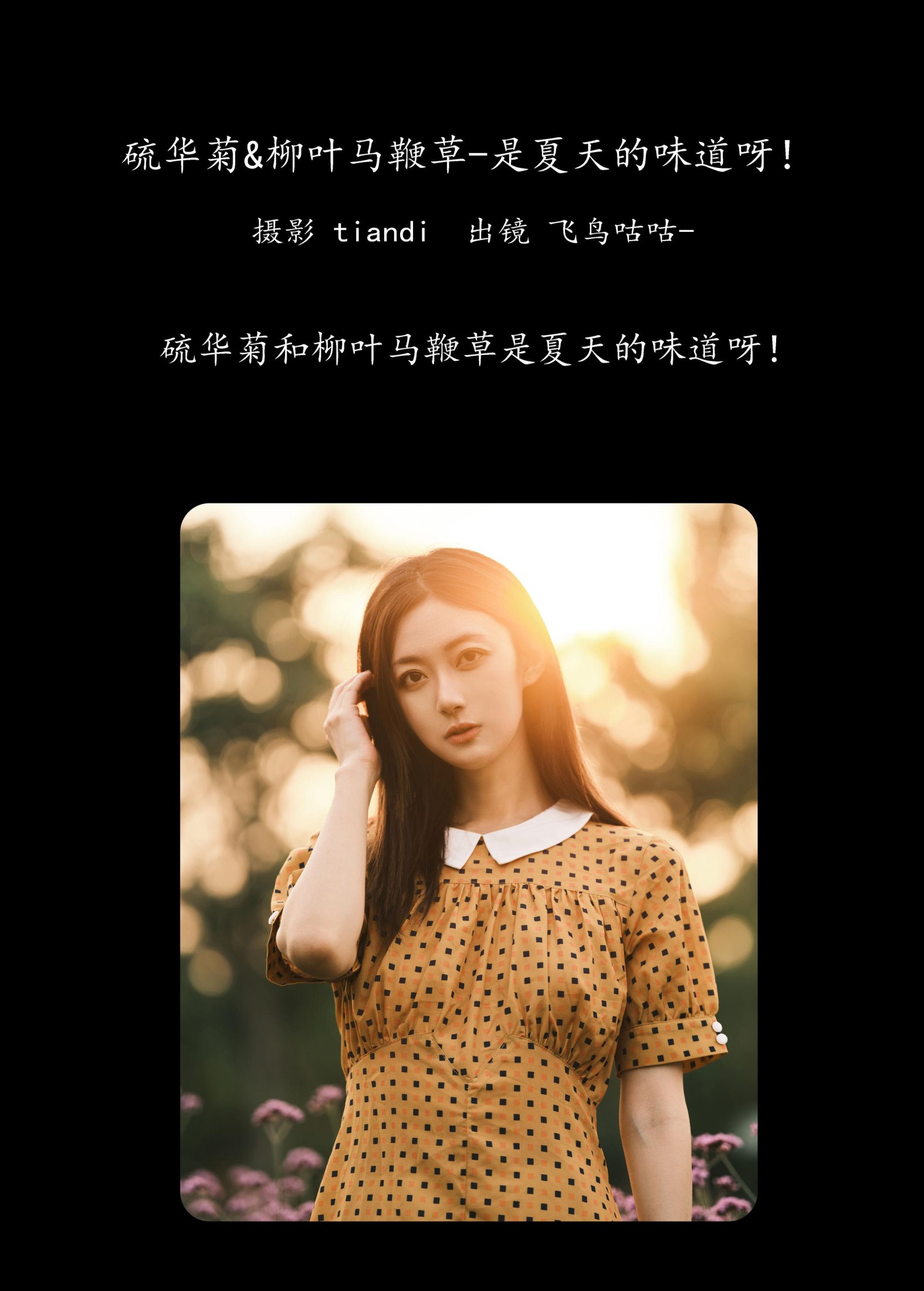 飞鸟咕咕- – 《硫华菊&柳叶马鞭草-是夏天的味道呀！》[44P] 插图2