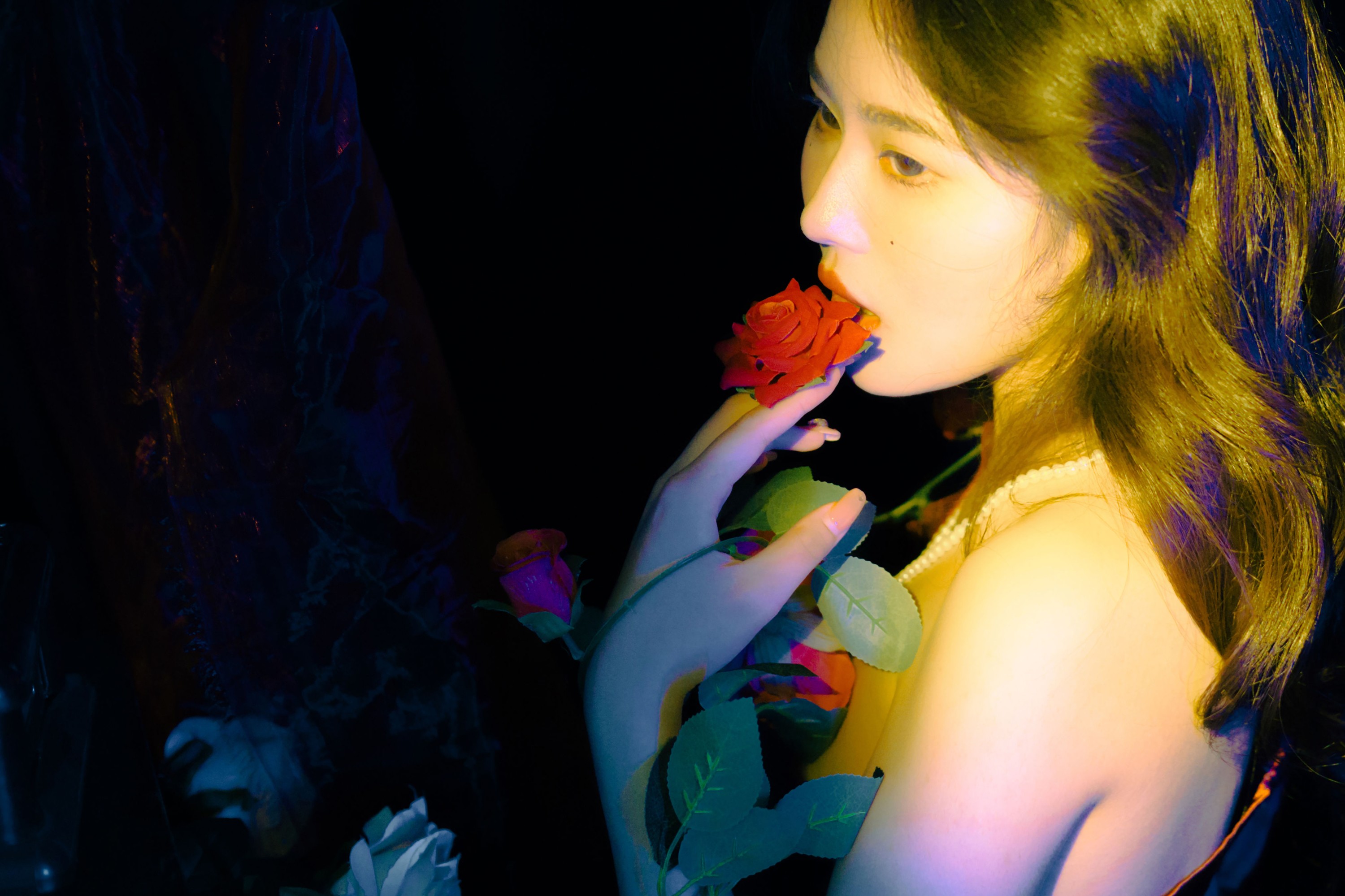 鸭鸭泡芙 – 《玫瑰往事》[29P] 插图3