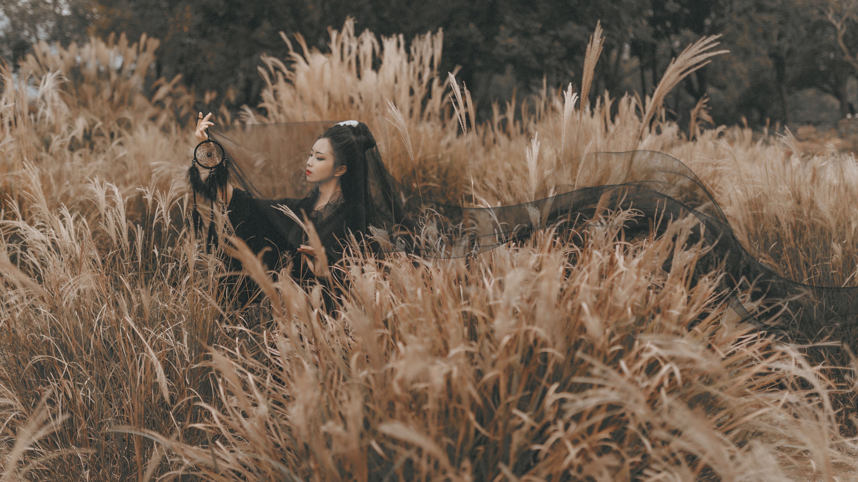 公孙凭 – 《梦魅》[21P] 插图3