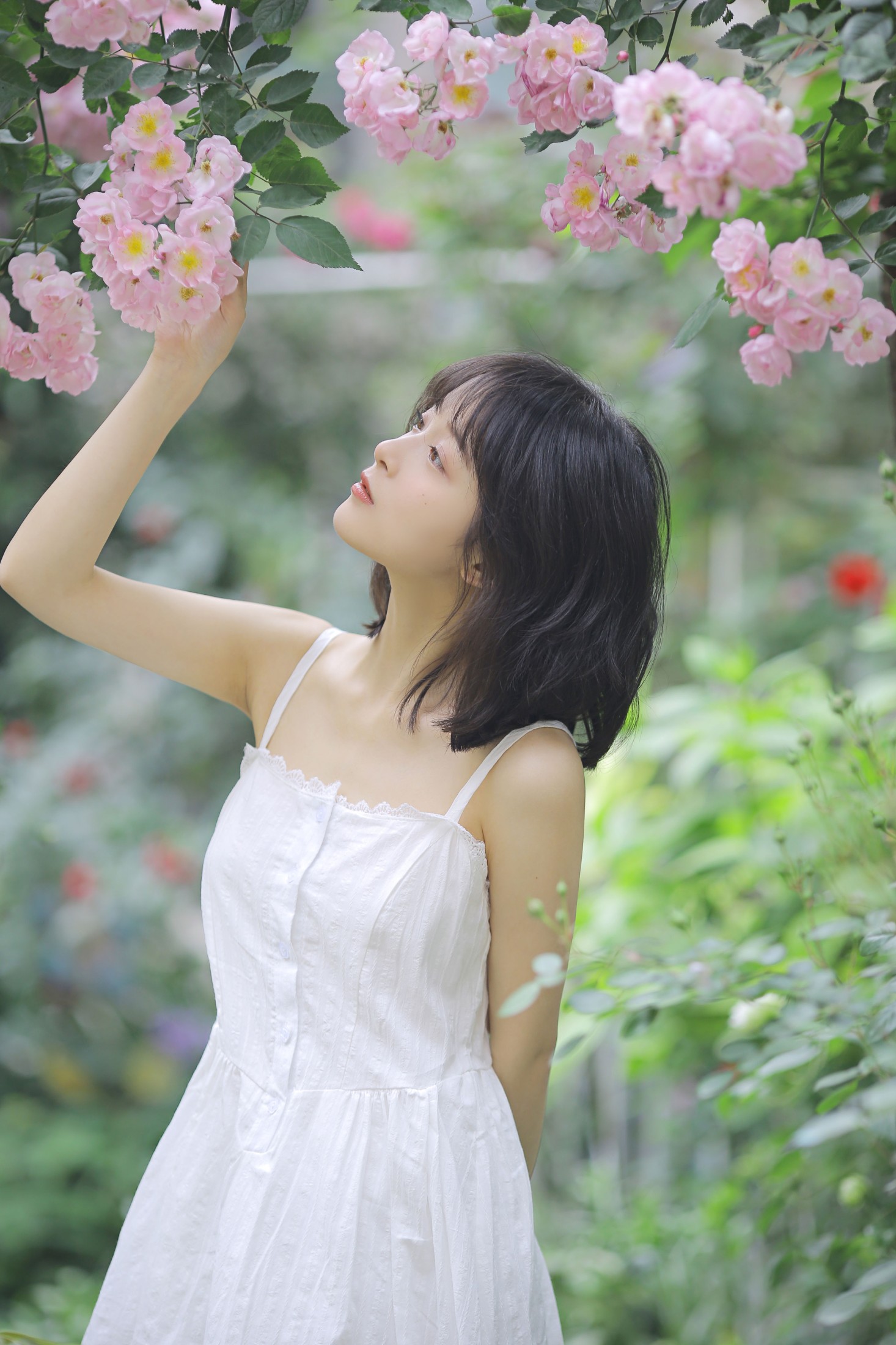 甜酒八號 – 《花期已致 美好如初》[30P] 插图3