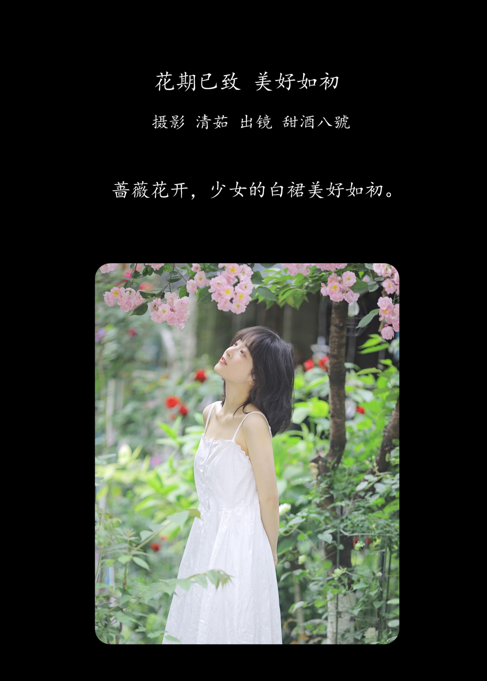 甜酒八號 – 《花期已致 美好如初》[30P] 插图2