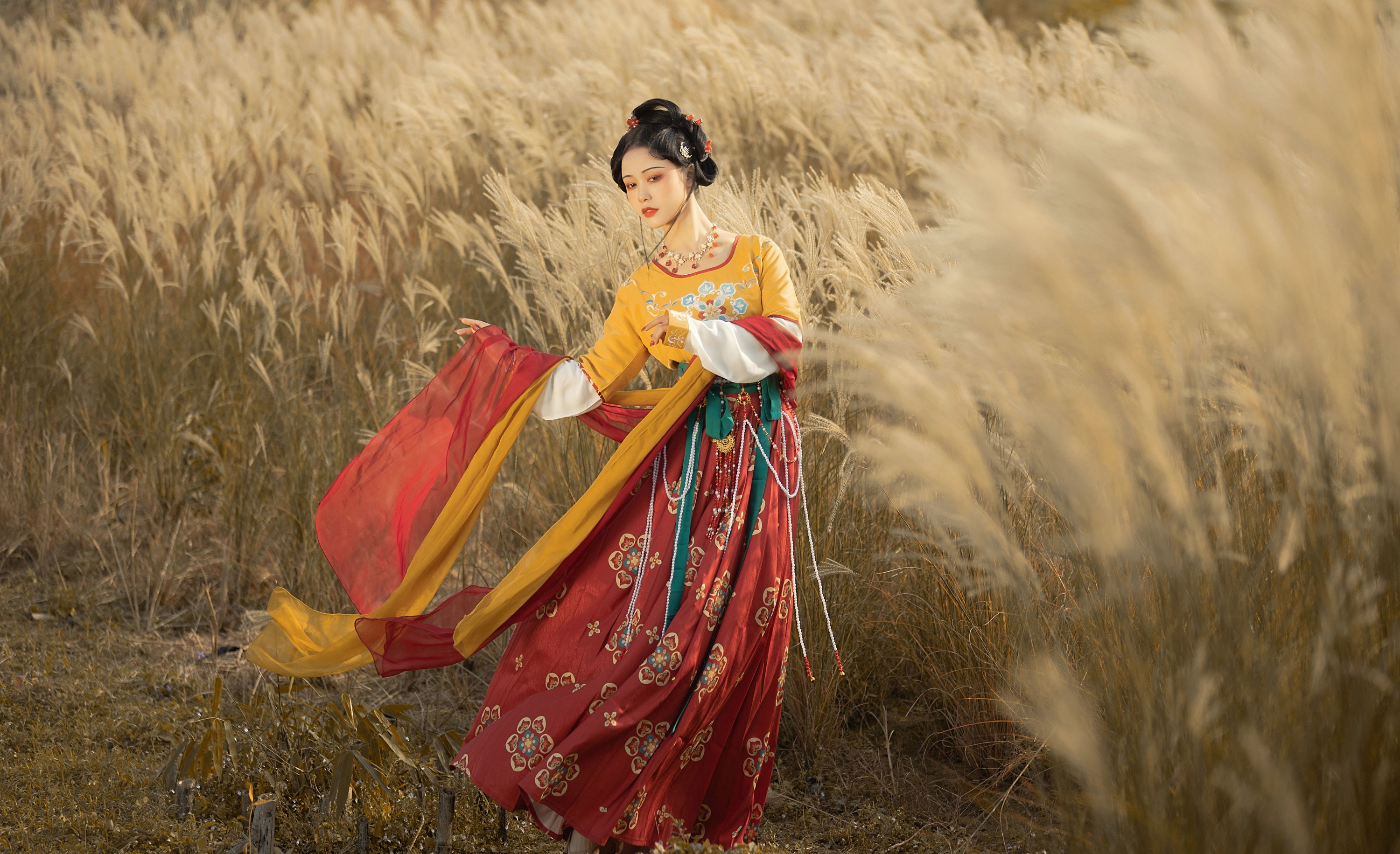 梨一依 – 《萋萋》[23P] 插图4