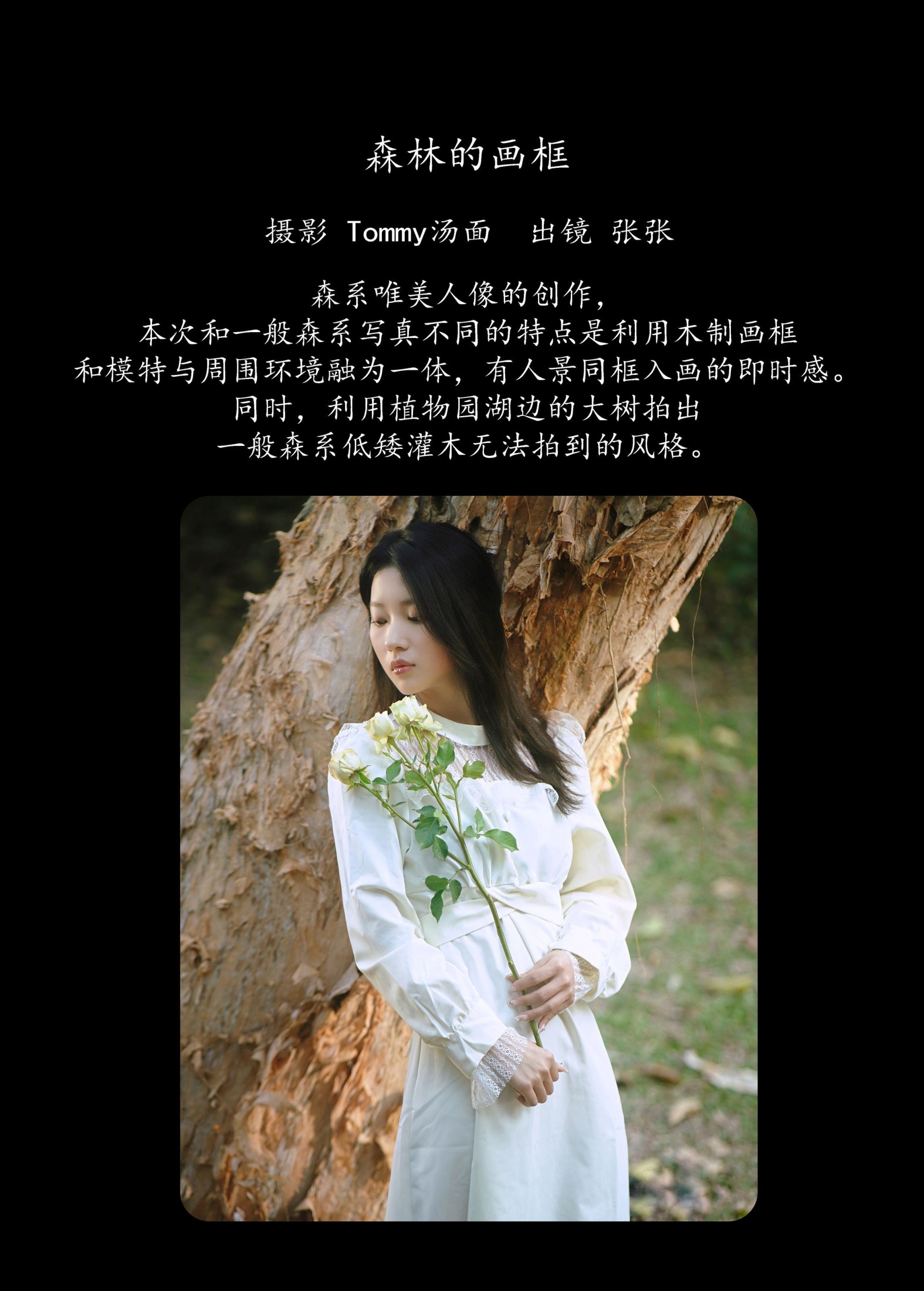 张张 – 《森林的画框》[29P] 插图2