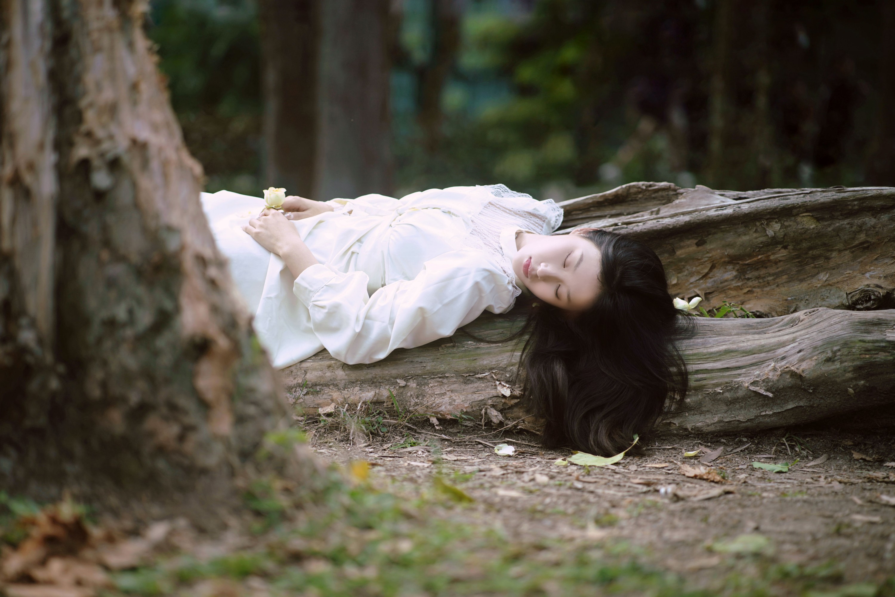 张张 – 《森林的画框》[29P] 插图3