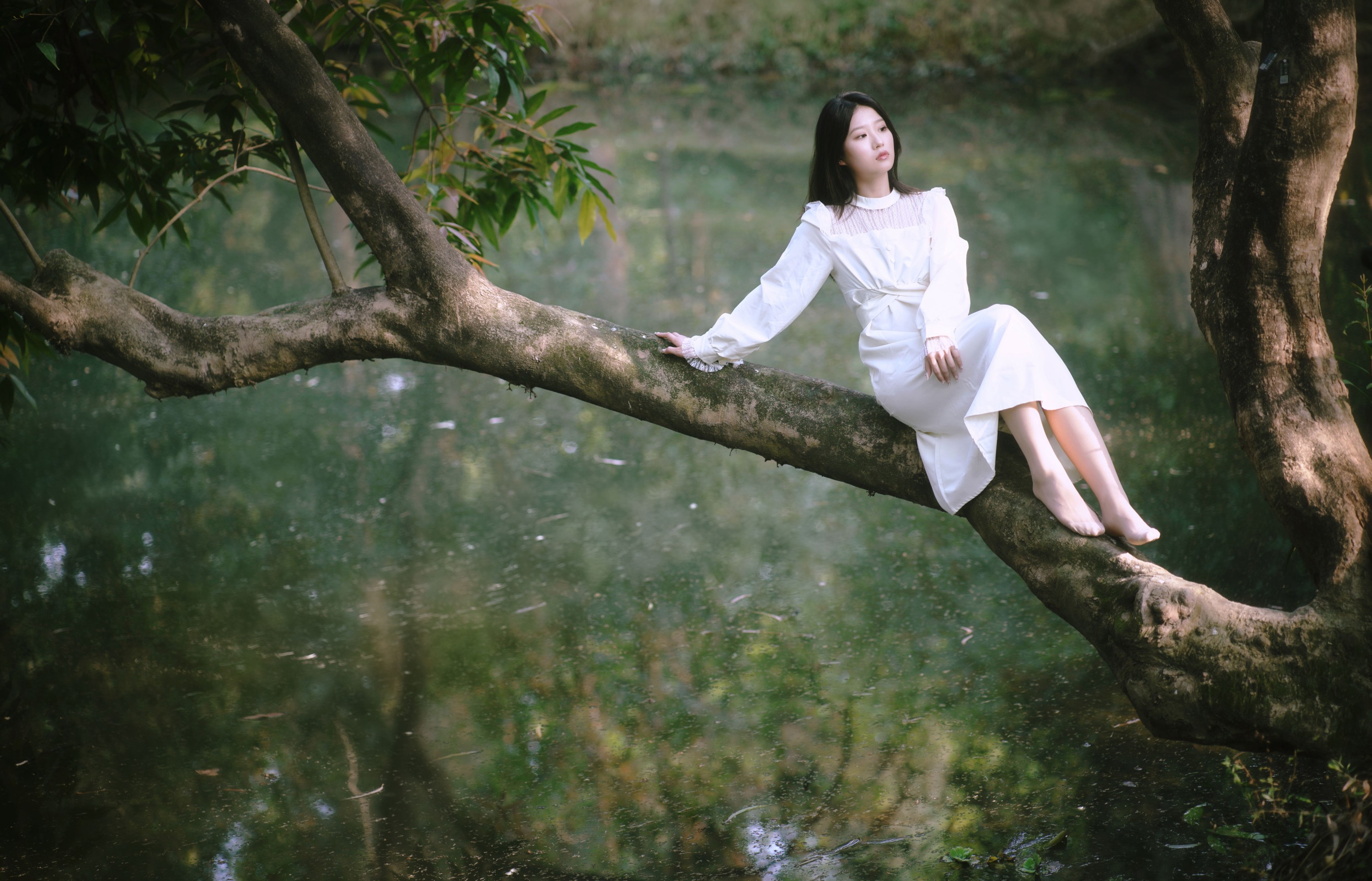 张张 – 《森林的画框》[29P] 插图4