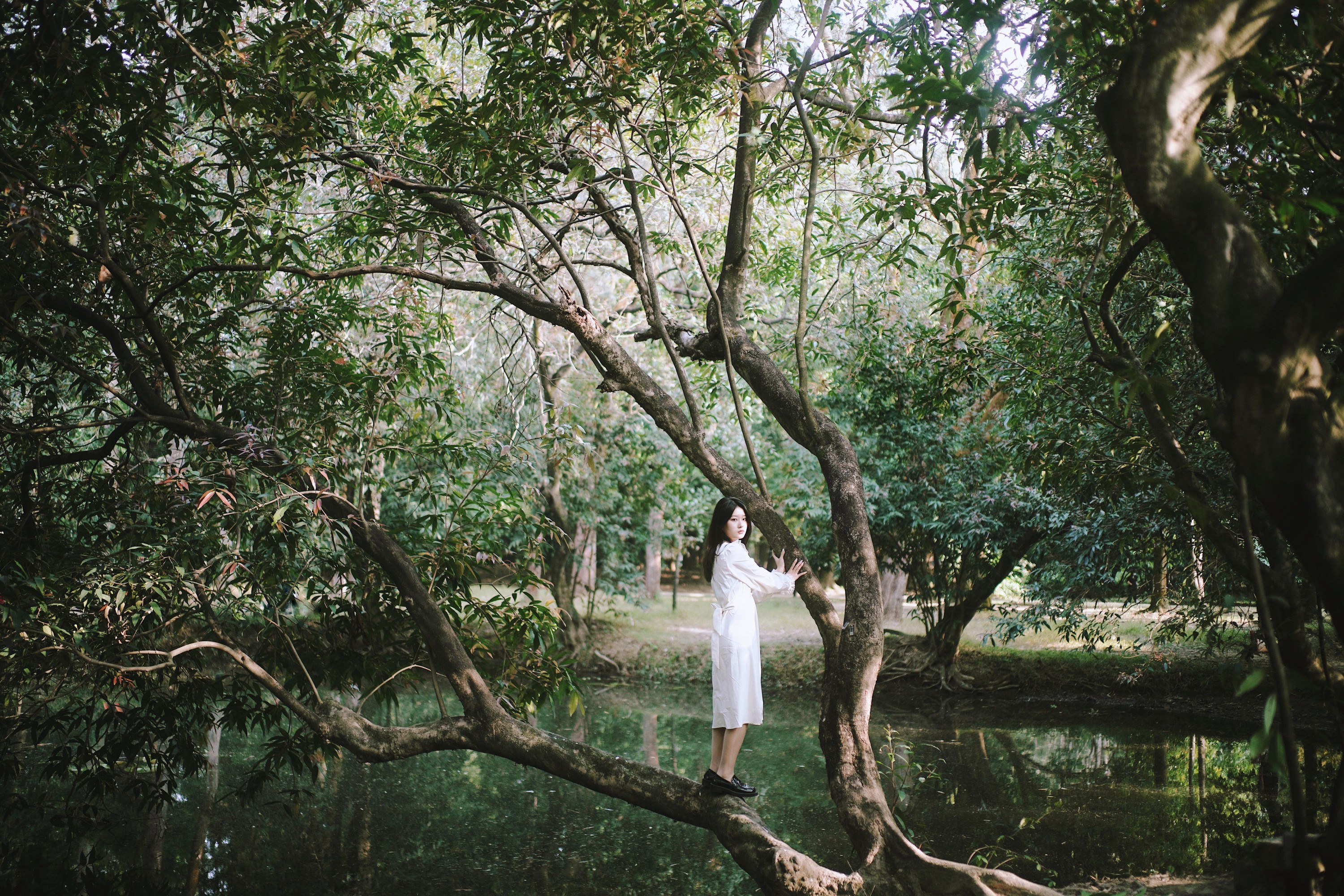 张张 – 《森林的画框》[29P] 插图5