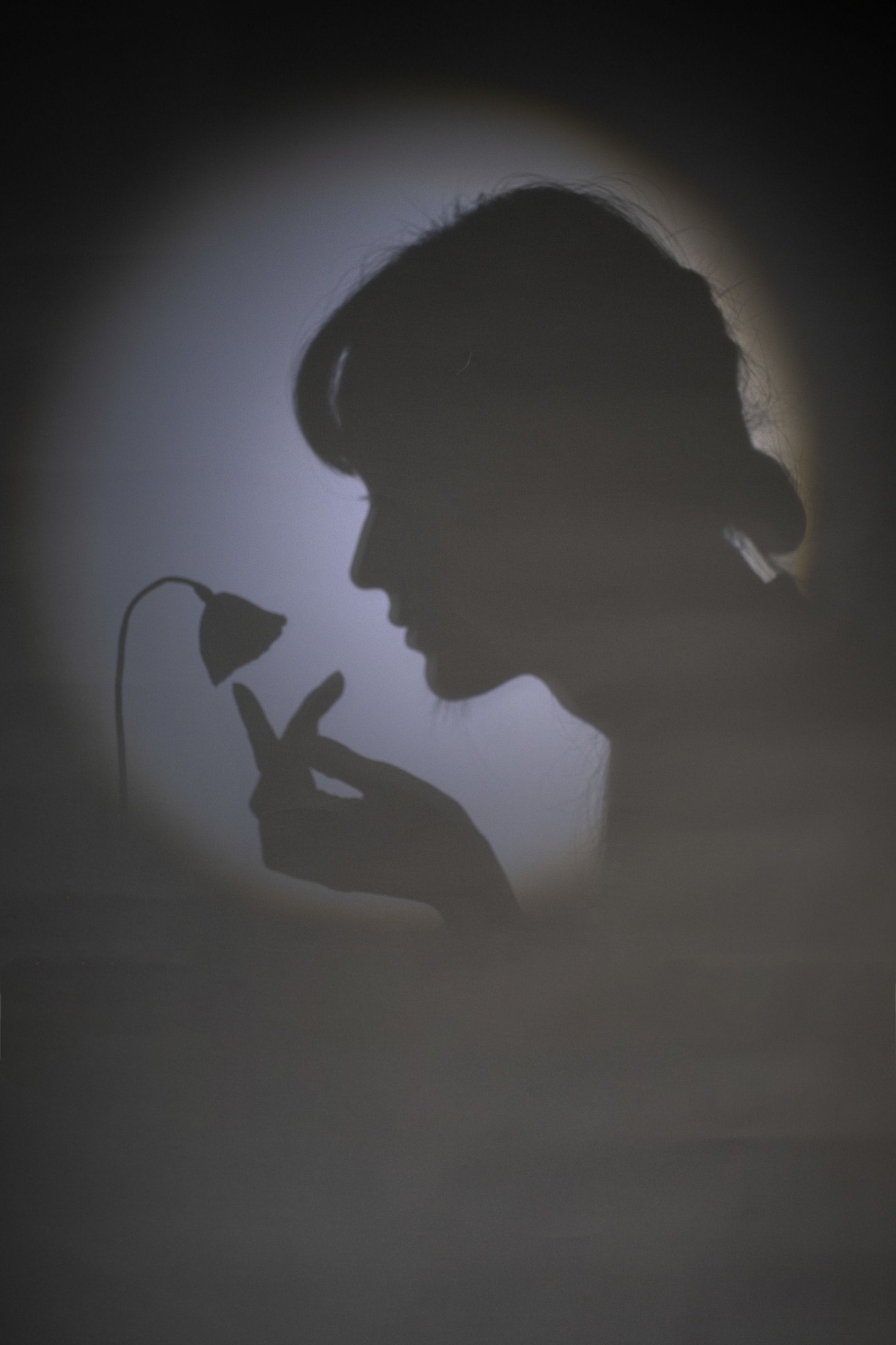 兔子Zzz不吃胡萝卜 – 《妙语》[23P] 插图4