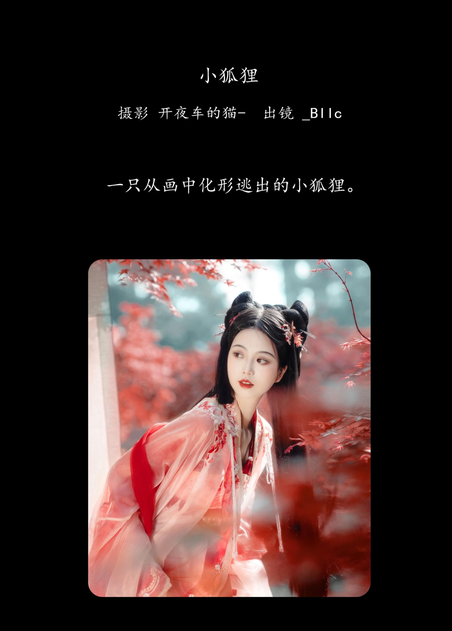 _Bllc – 《小狐狸》[22P] 插图2