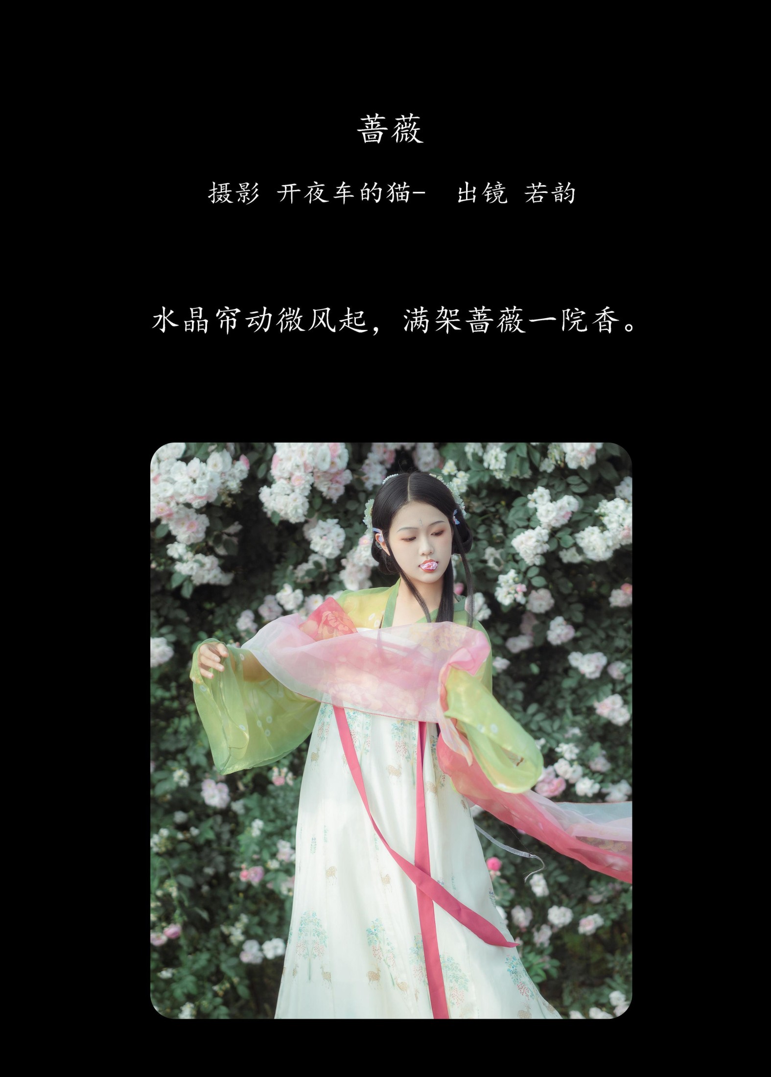 若韵 – 《蔷薇》[23P] 插图2